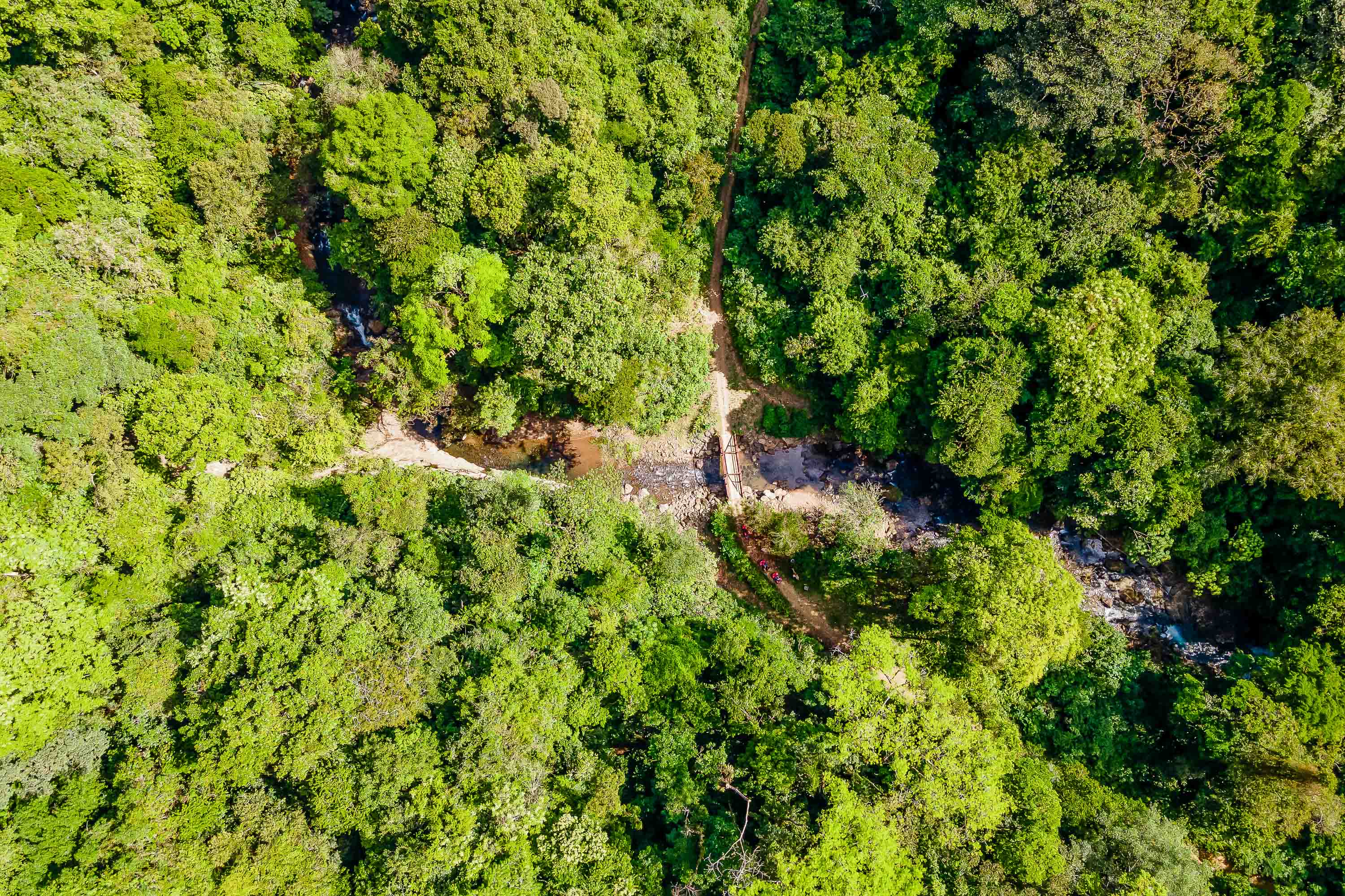 0 bed Land For Sale in Quepos, Puntarenas - thumb 25