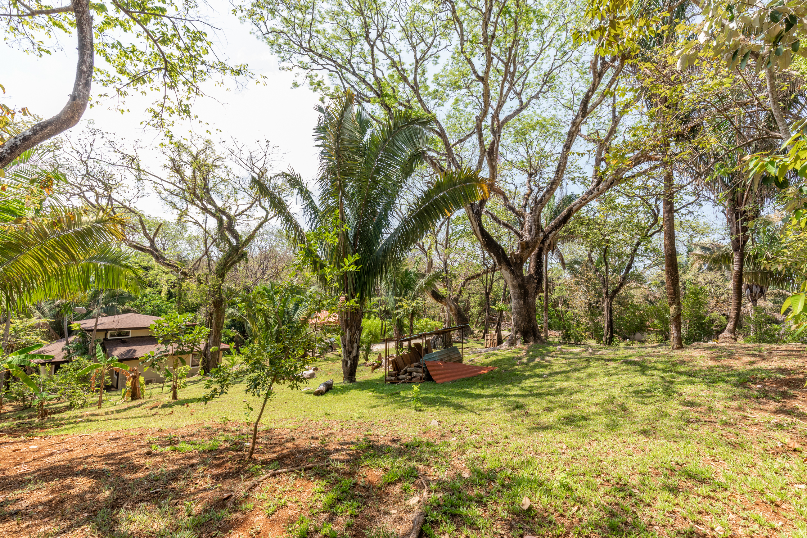 0 bed Land For Sale in Nosara, Guanacaste - thumb 6