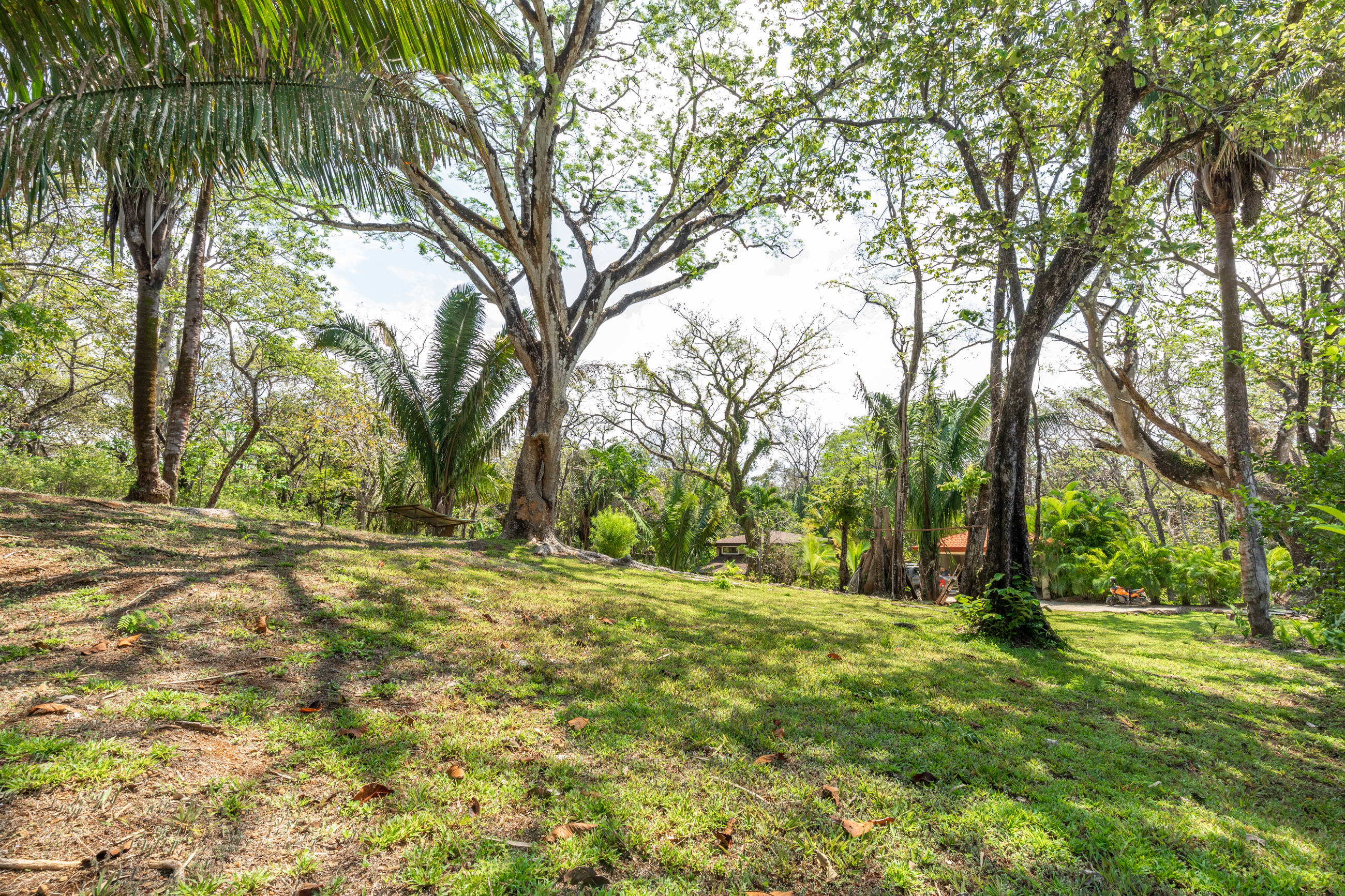 0 bed Land For Sale in Nosara, Guanacaste - thumb 5