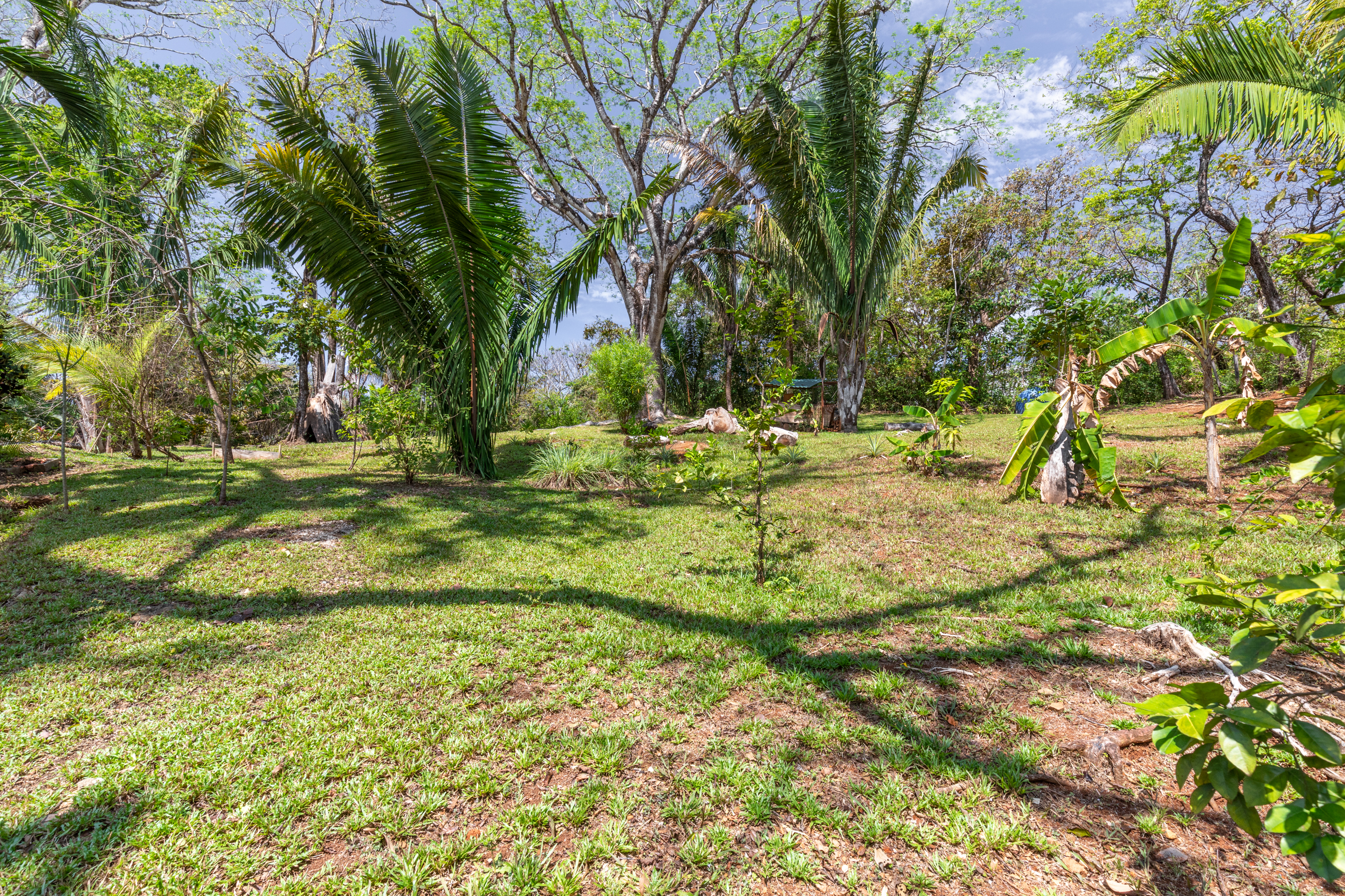 0 bed Land For Sale in Nosara, Guanacaste - thumb 1