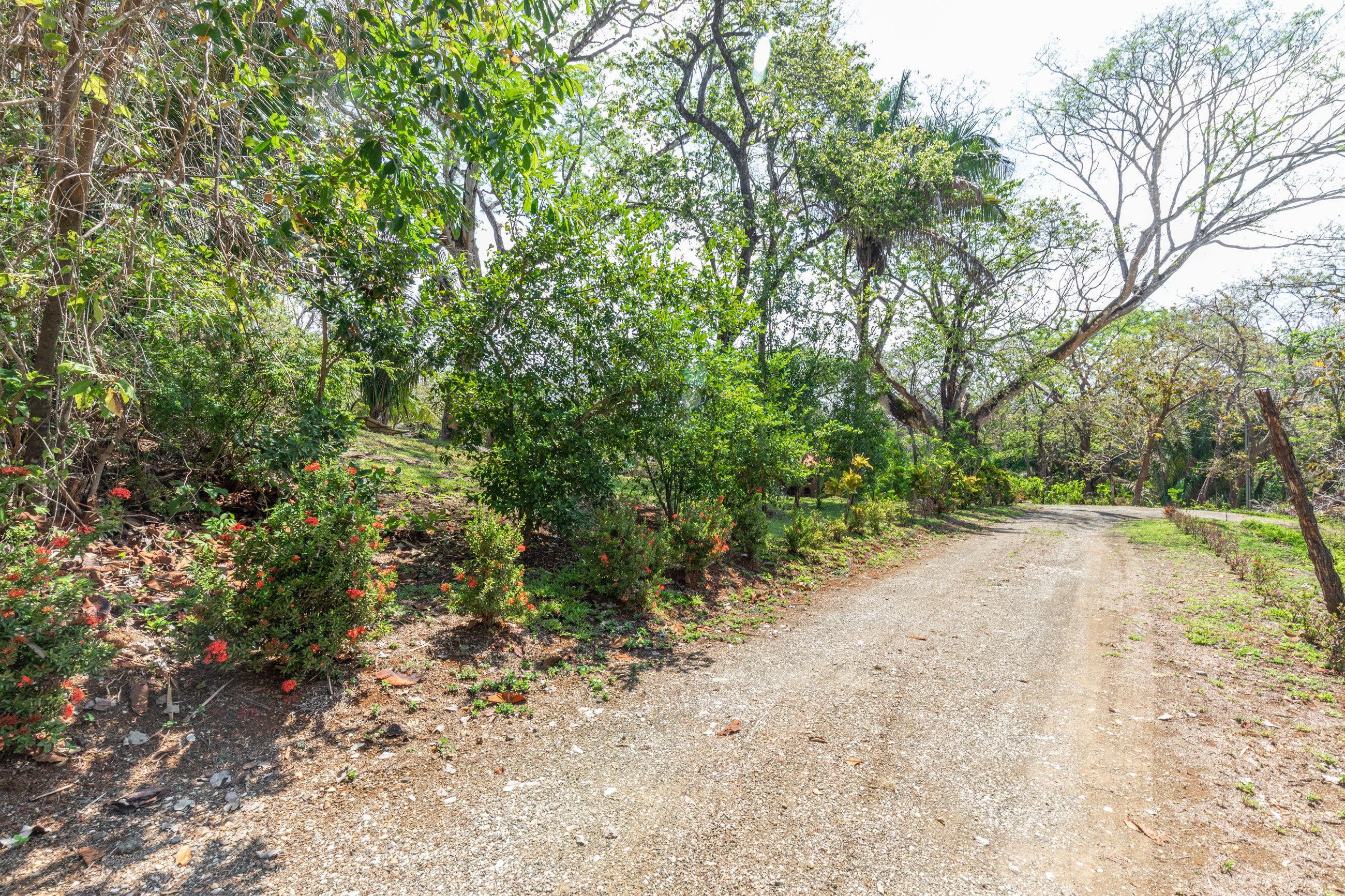 0 bed Land For Sale in Nosara, Guanacaste - thumb 2