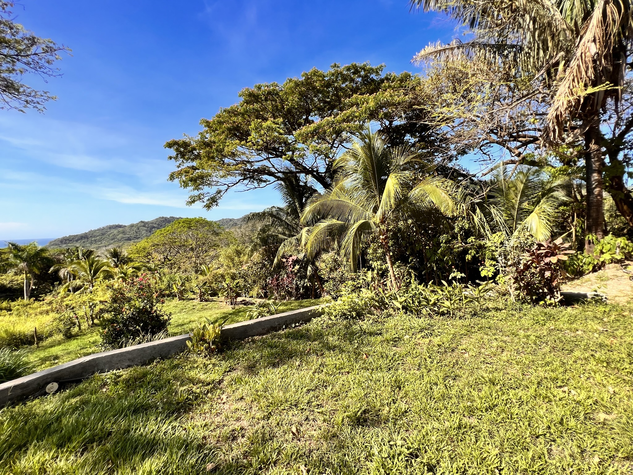 3 bed Single Family Homes For Sale in Cabuya, Puntarenas - thumb 10