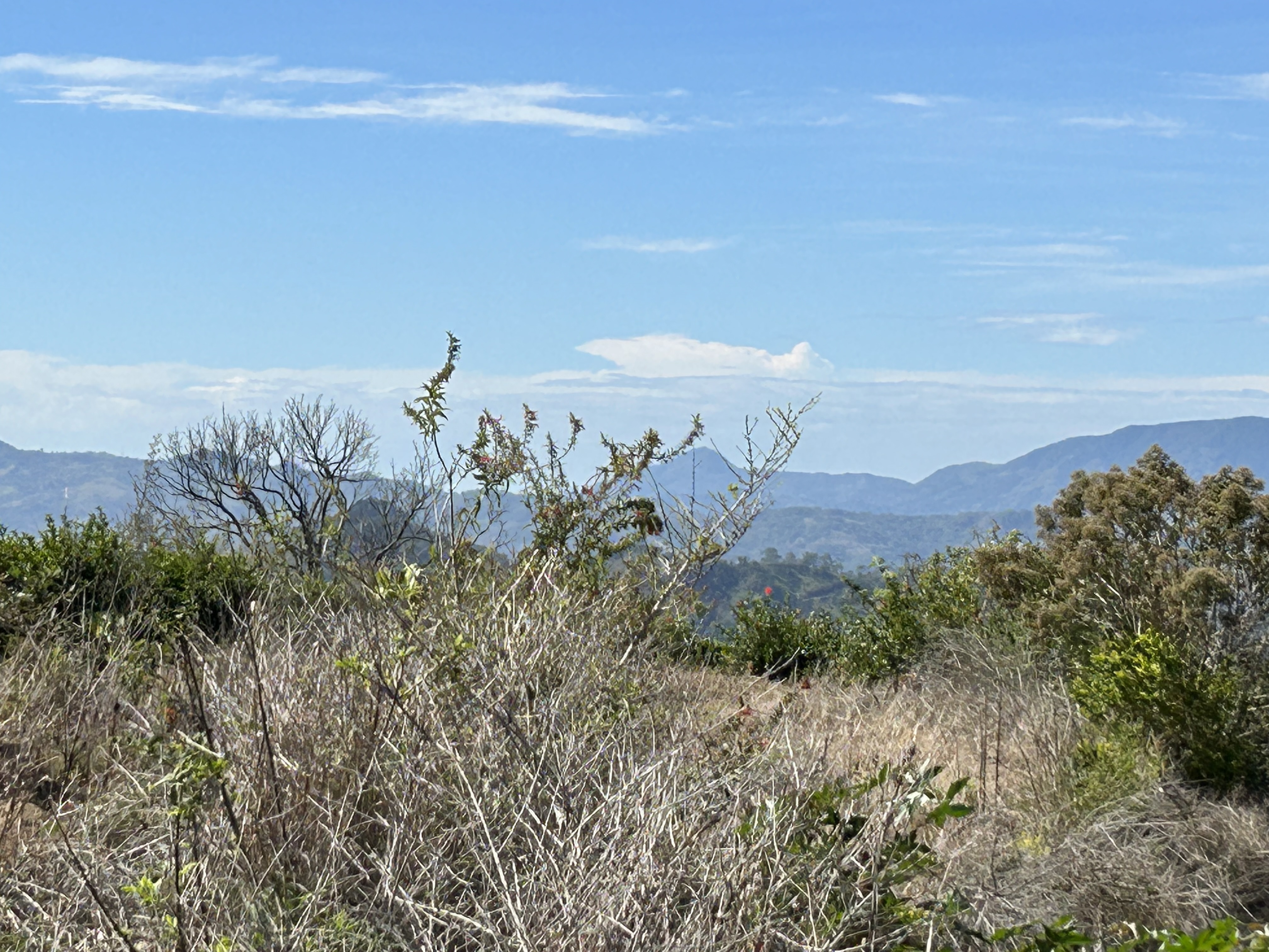 0 bed Land For Sale in Atenas, Alajuela - thumb 3