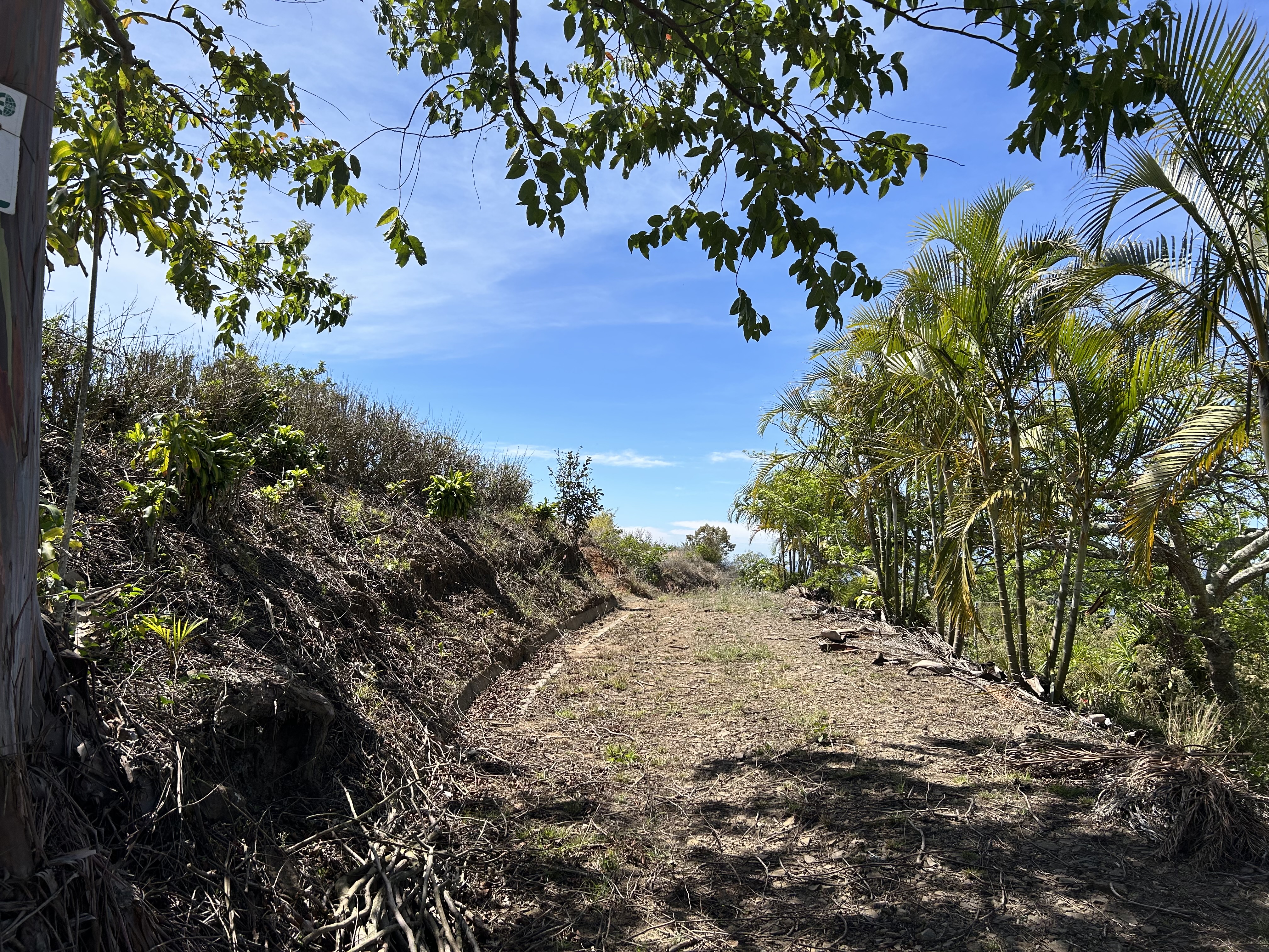 0 bed Land For Sale in Atenas, Alajuela - thumb 7