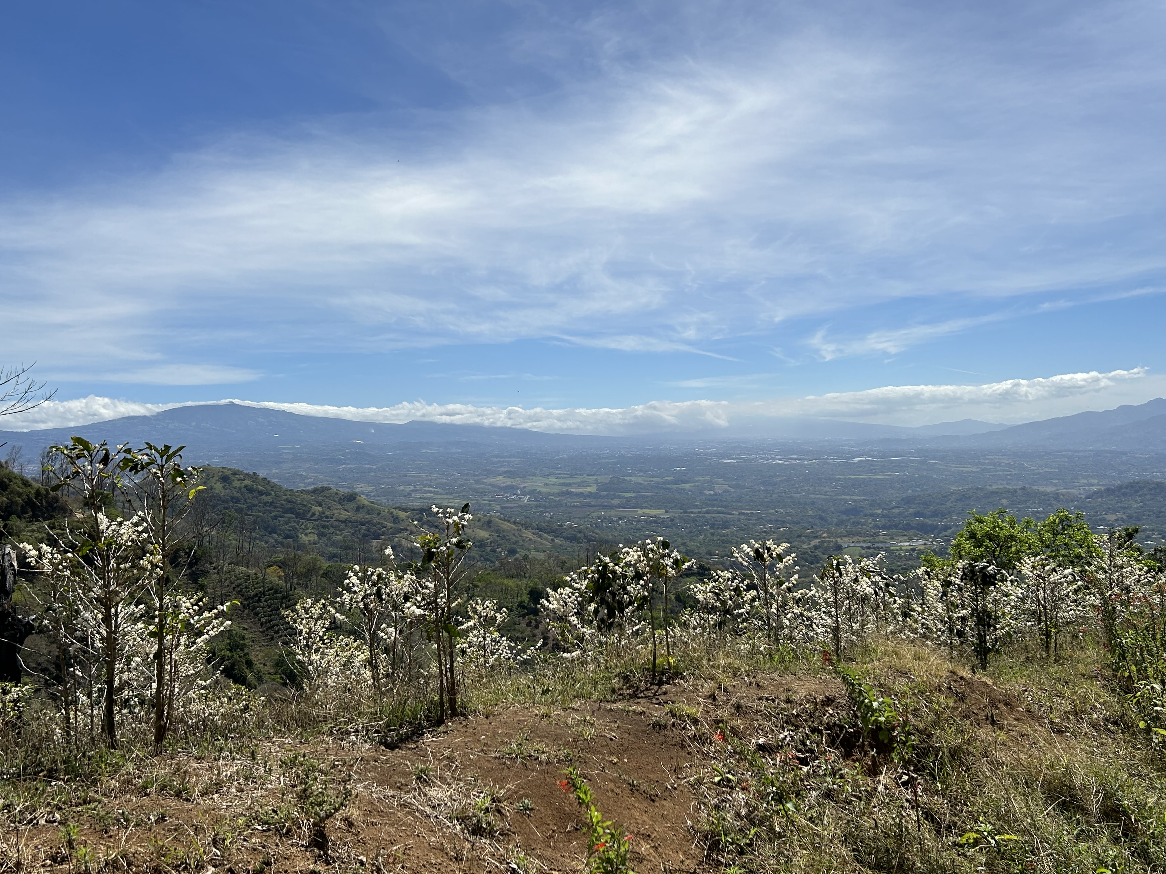 0 bed Land For Sale in Atenas, Alajuela - thumb 10