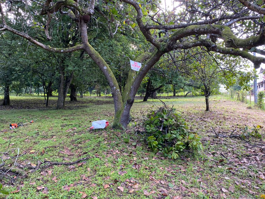 0 bed Land For Sale in Orotina, Alajuela - thumb 2