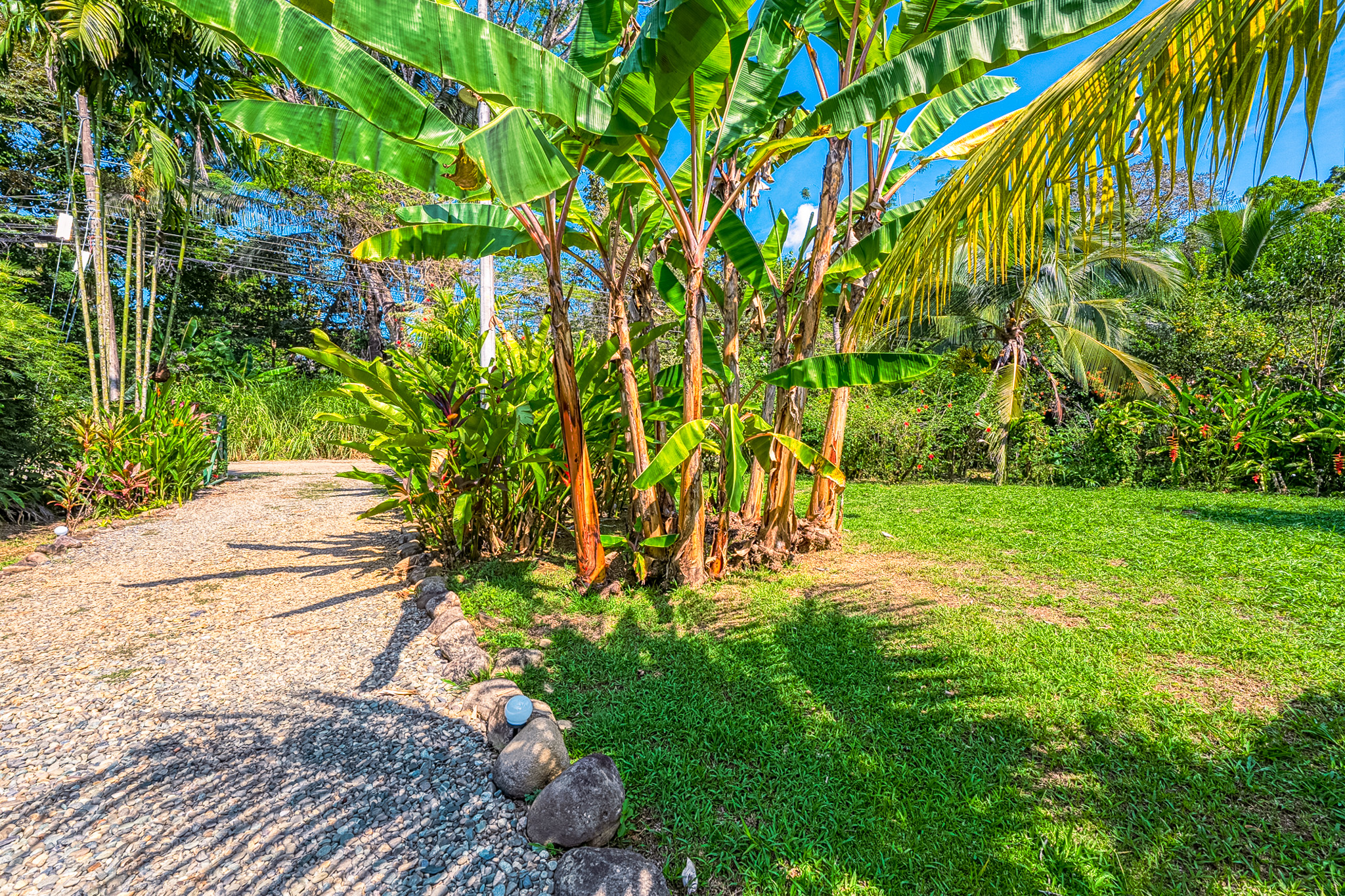 3 bed Single Family Homes For Sale in Dominical, Puntarenas - thumb 6