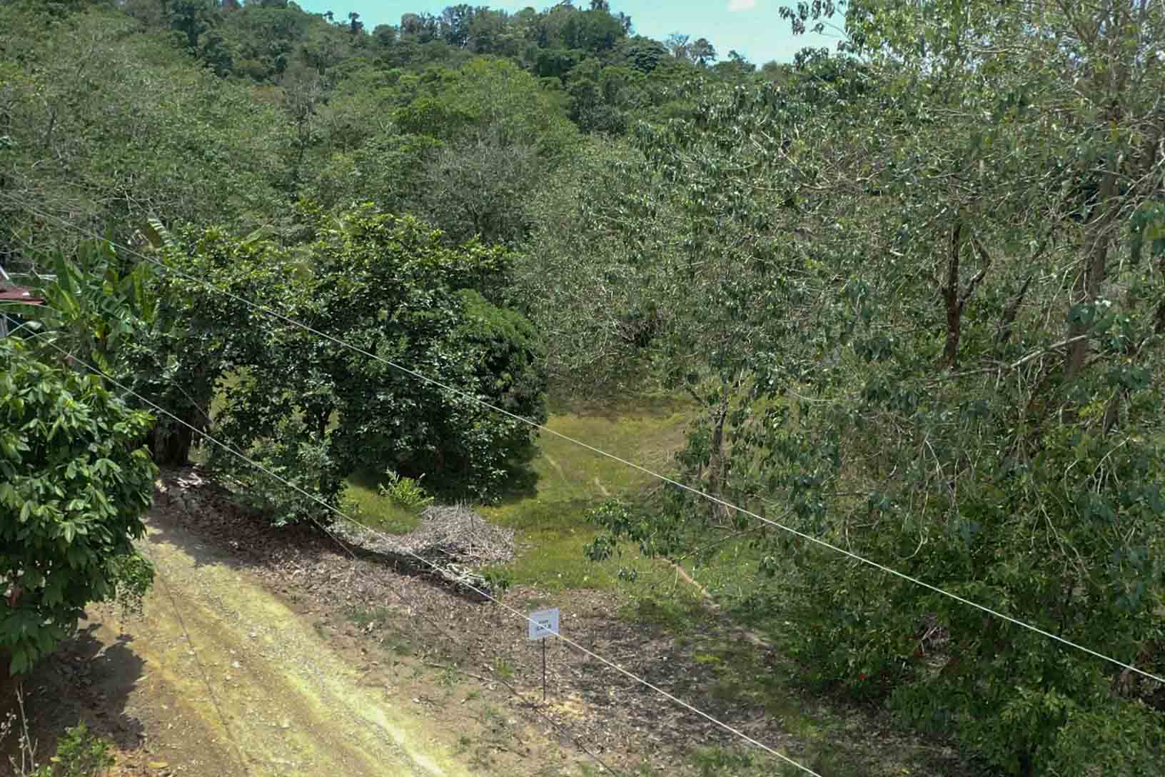 0 bed Land For Sale in Uvita, Puntarenas - thumb 2