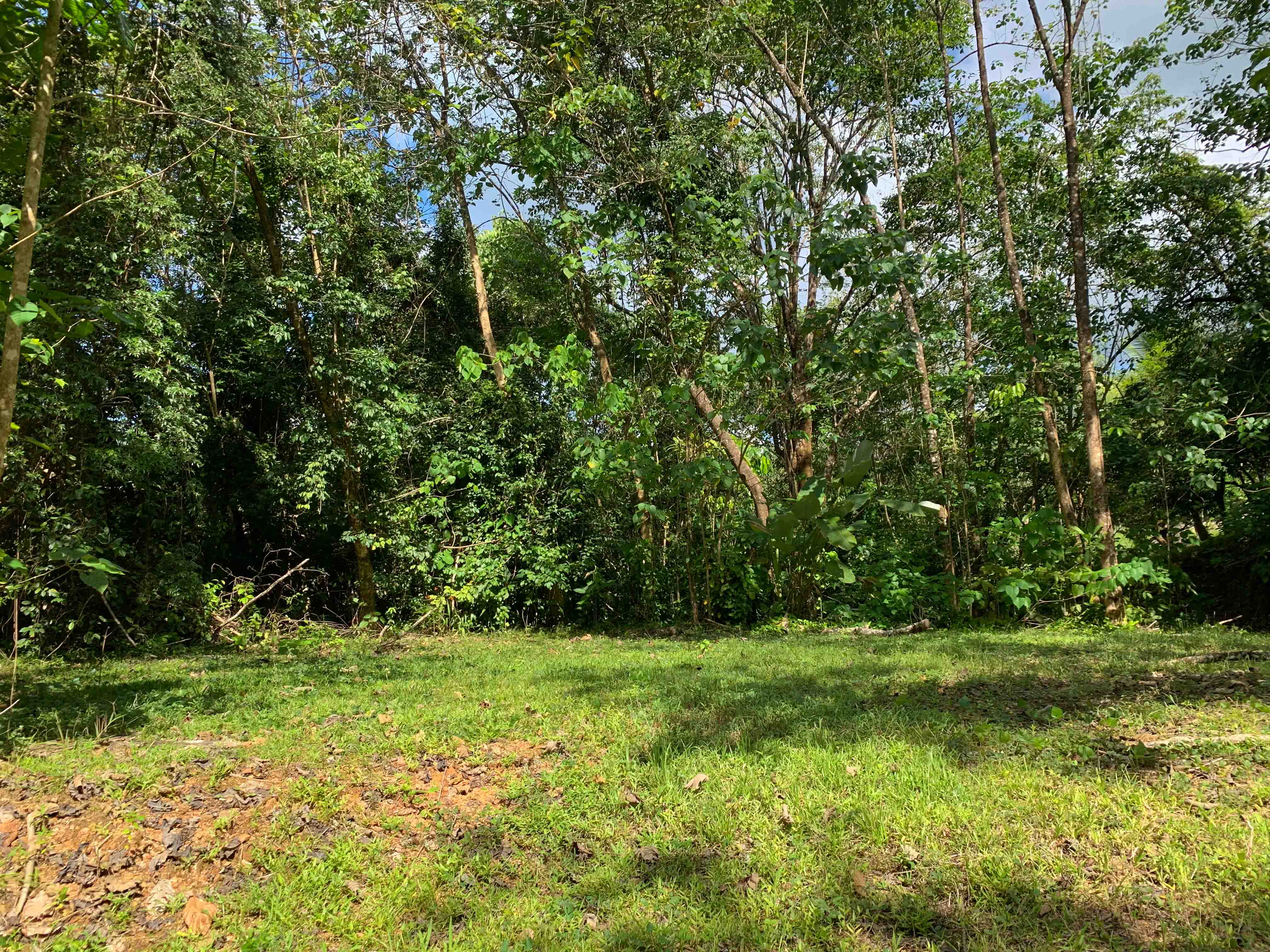 0 bed Land For Sale in Uvita, Puntarenas - thumb 4