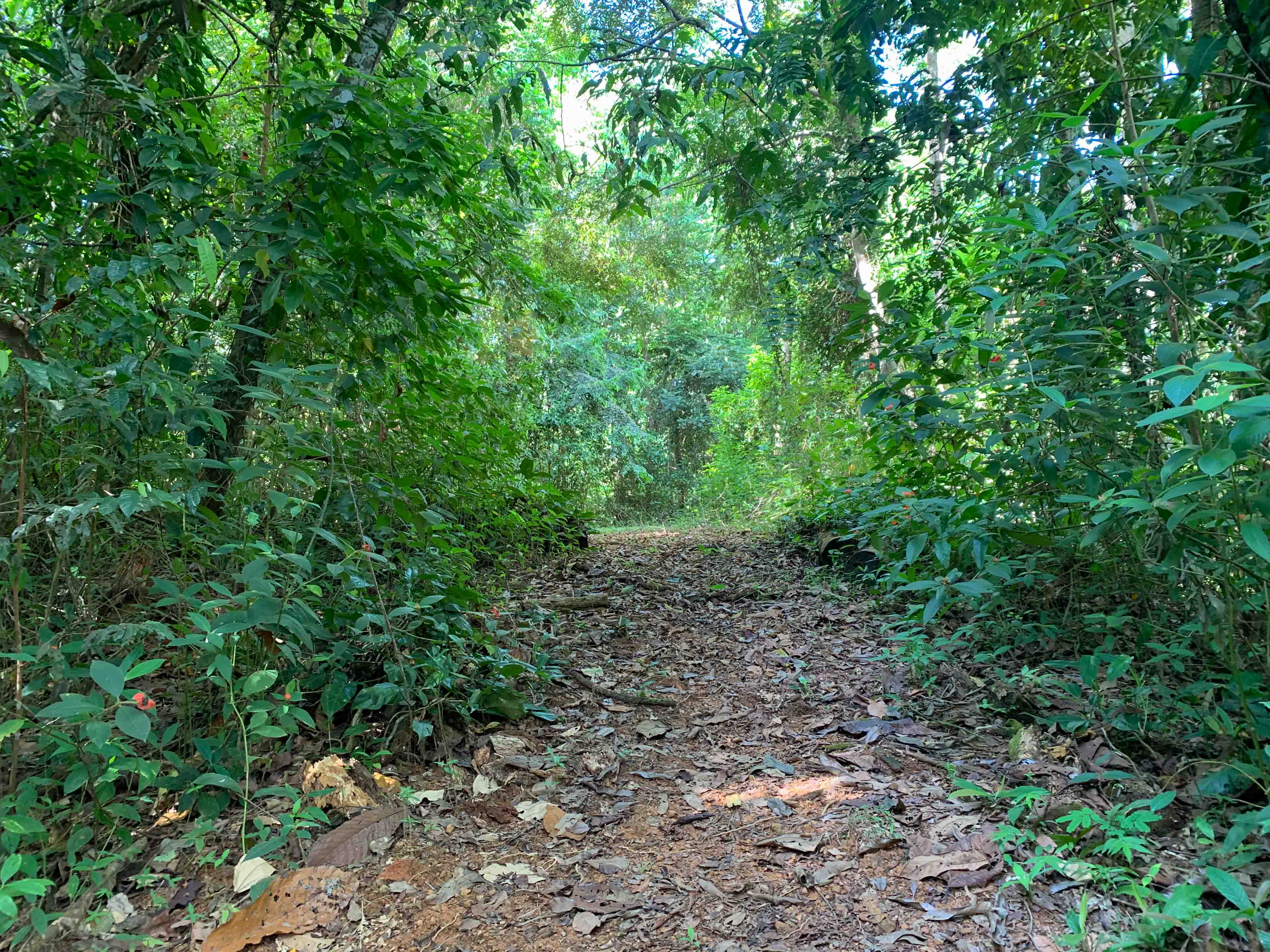 0 bed Land For Sale in Uvita, Puntarenas - thumb 17