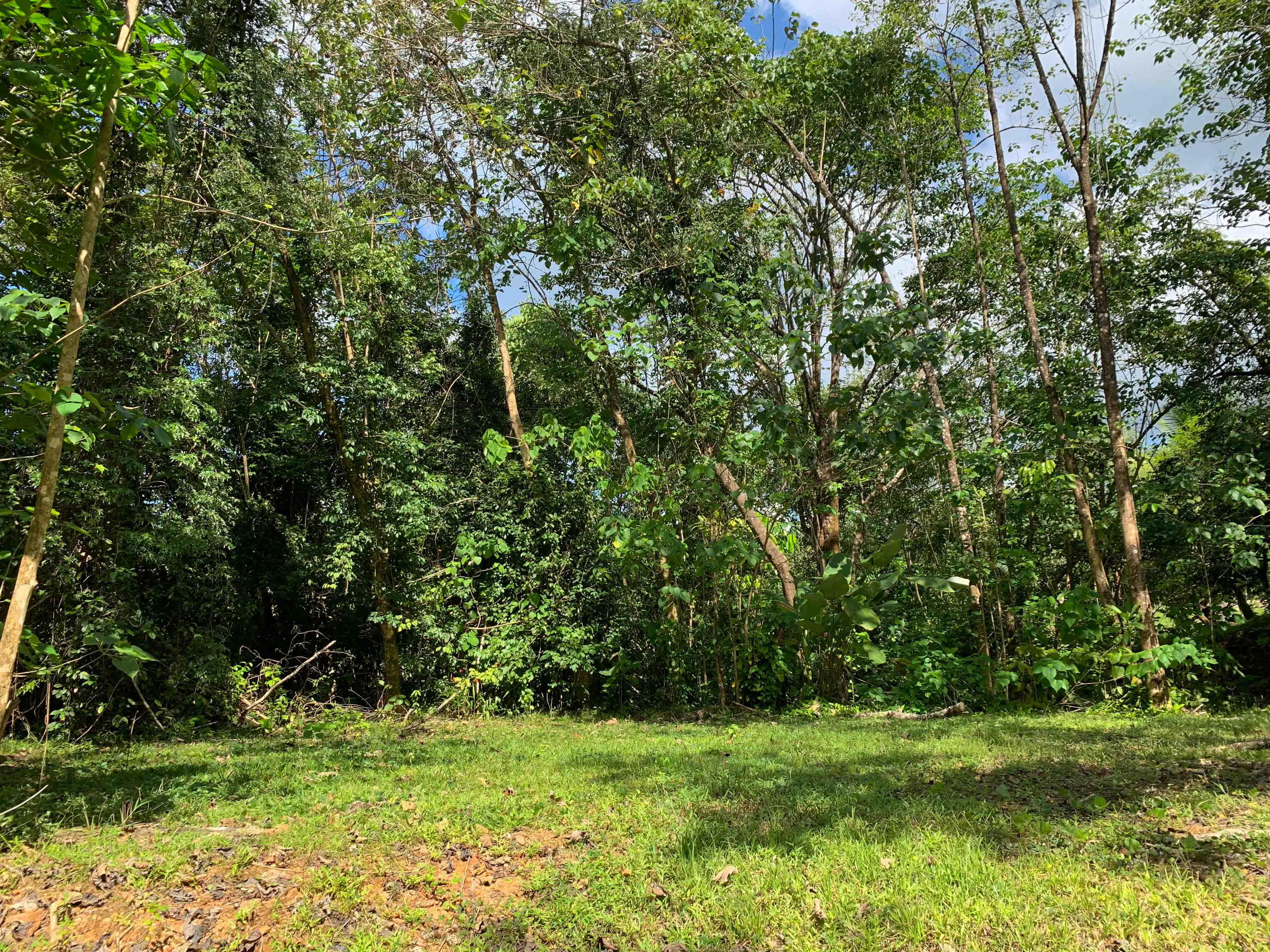 0 bed Land For Sale in Uvita, Puntarenas - thumb 11