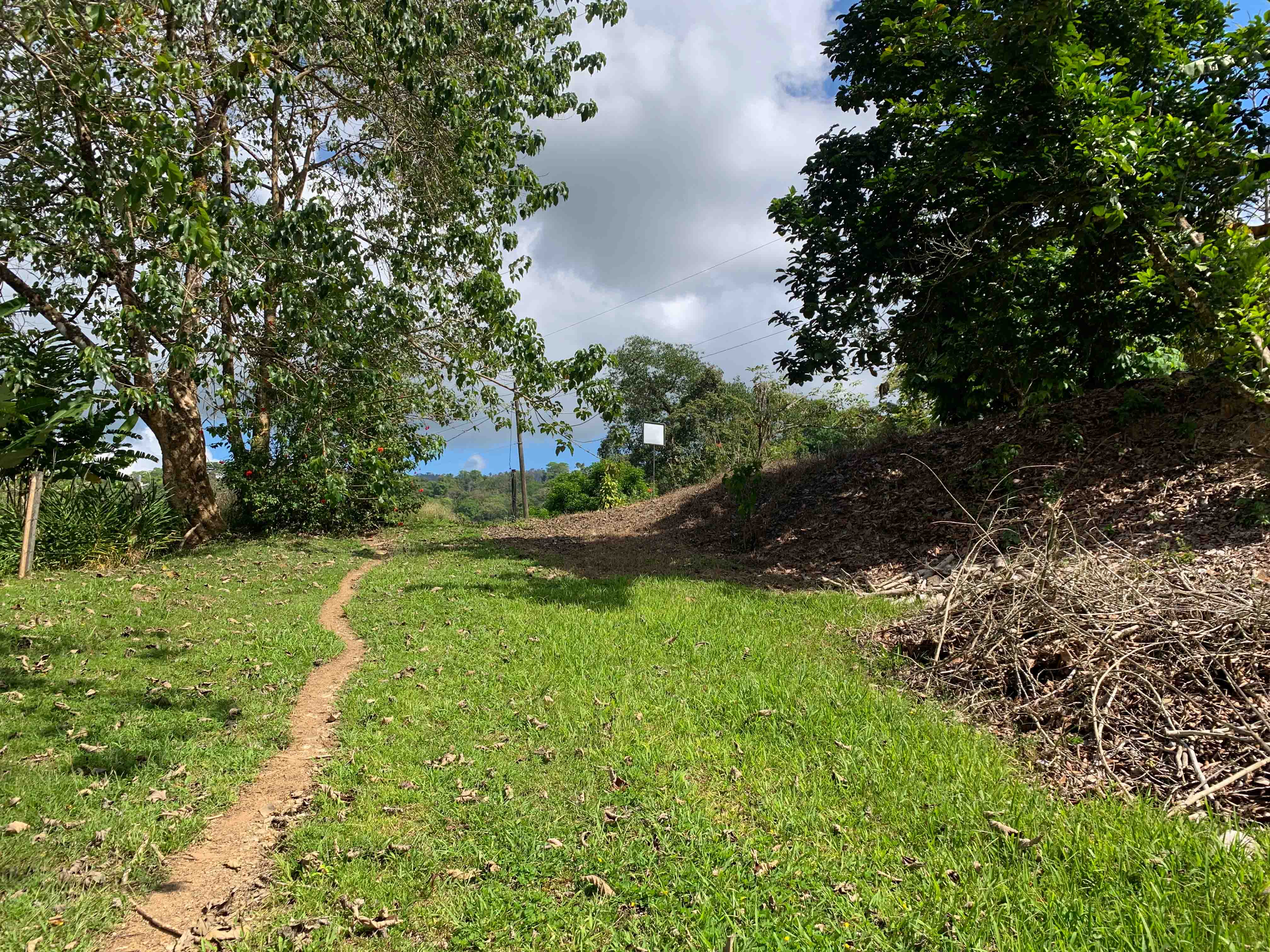 0 bed Land For Sale in Uvita, Puntarenas - thumb 3