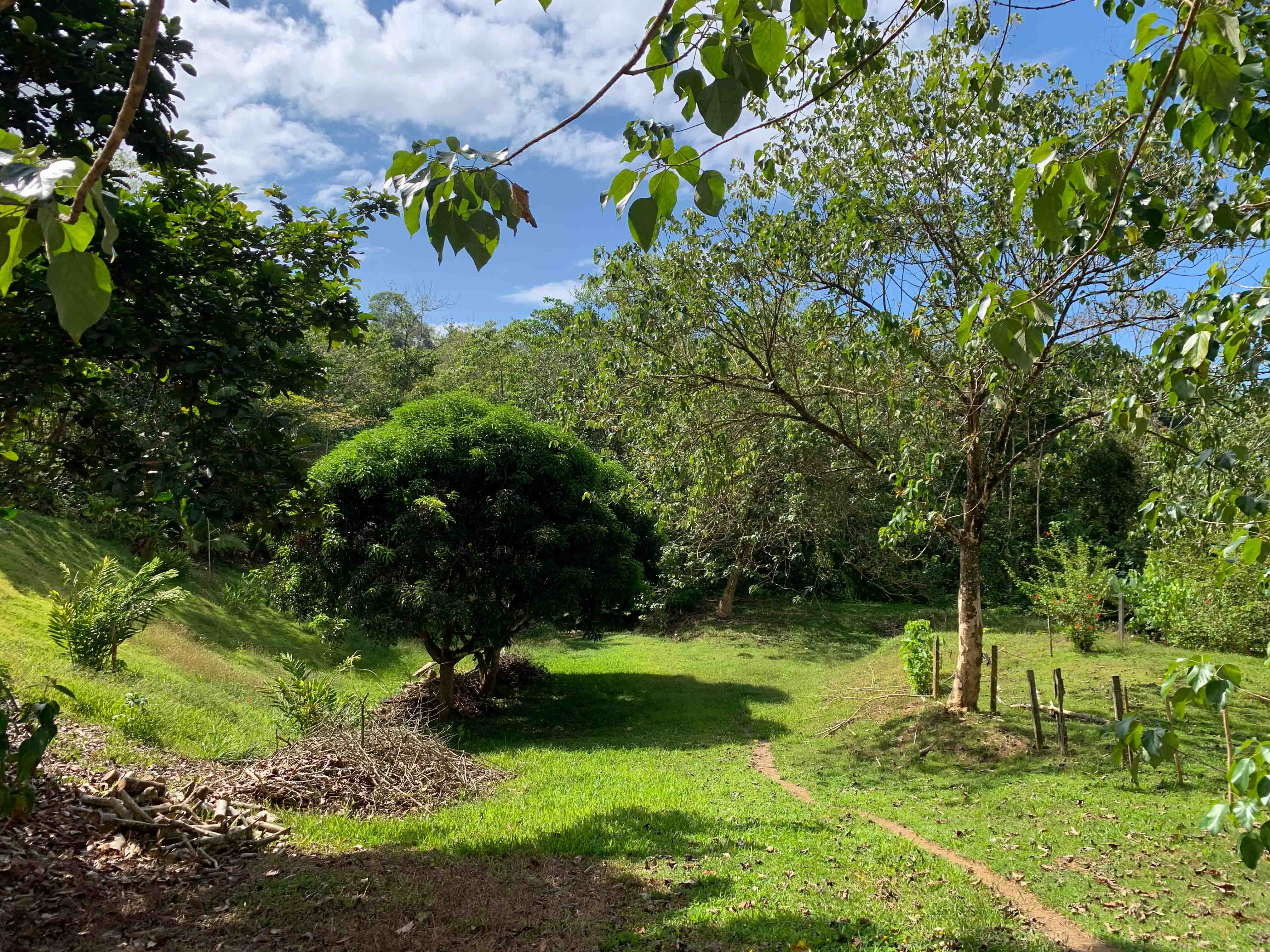 0 bed Land For Sale in Uvita, Puntarenas - thumb 15