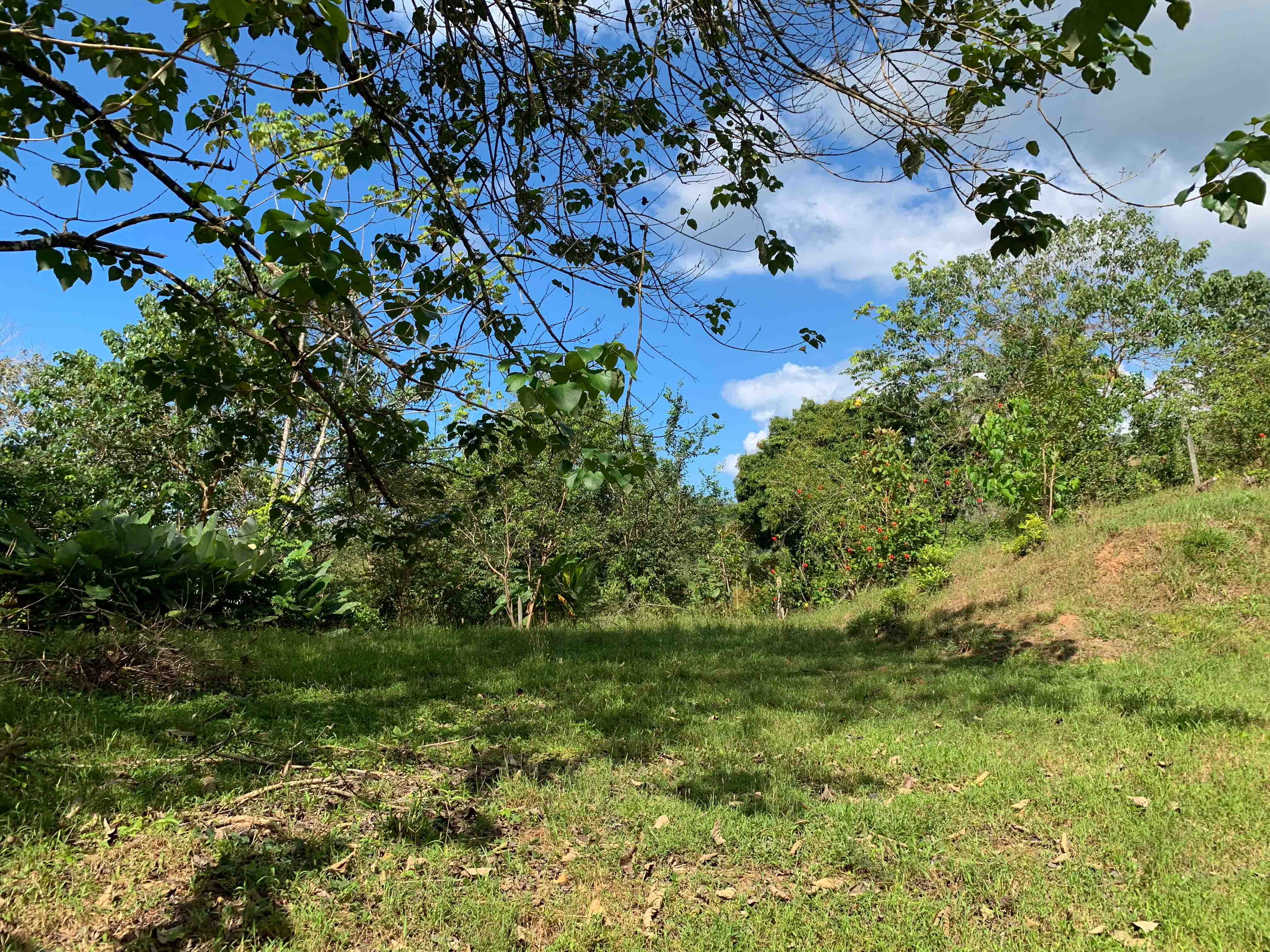 0 bed Land For Sale in Uvita, Puntarenas - thumb 14