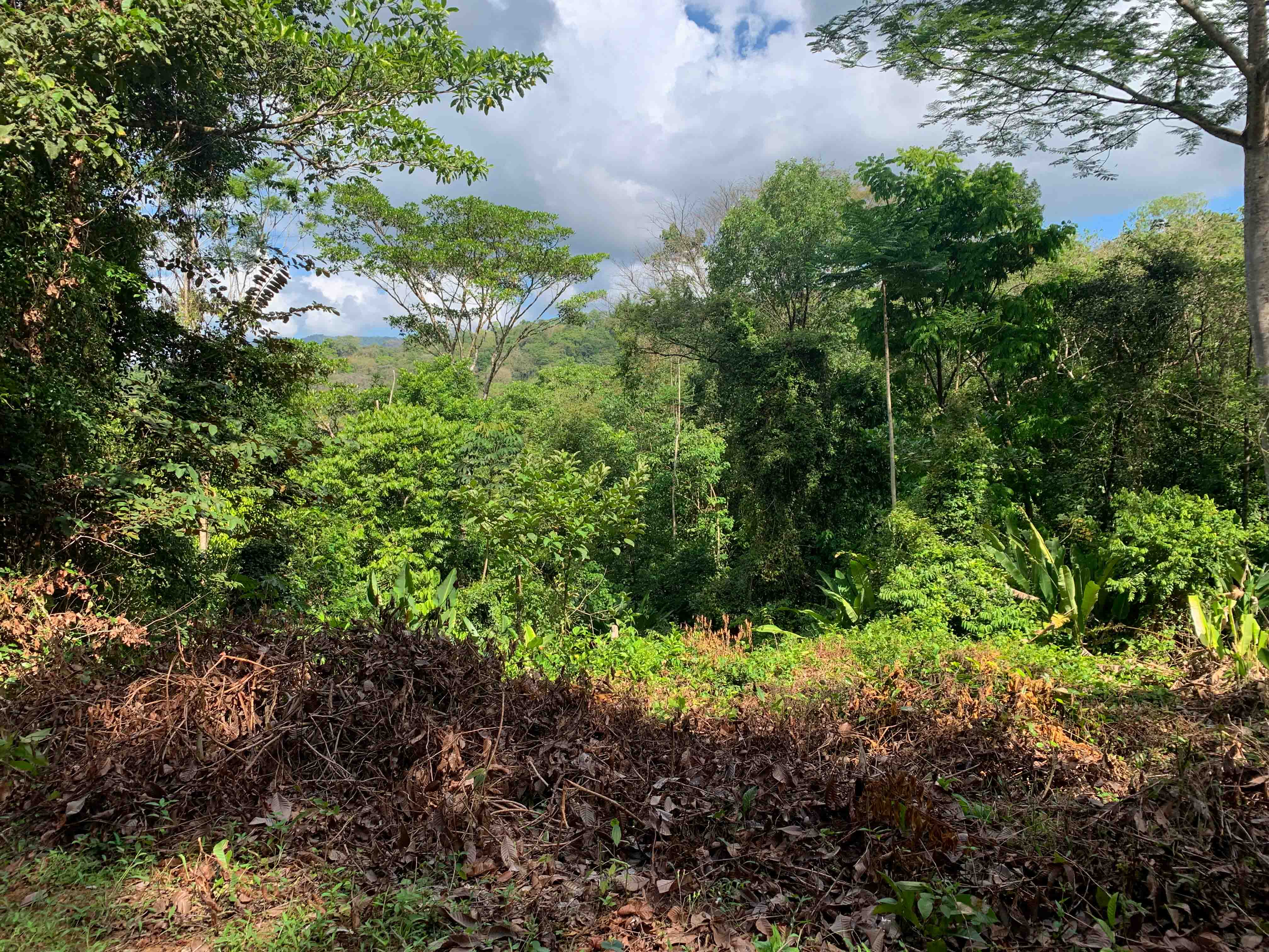 0 bed Land For Sale in Uvita, Puntarenas - thumb 7