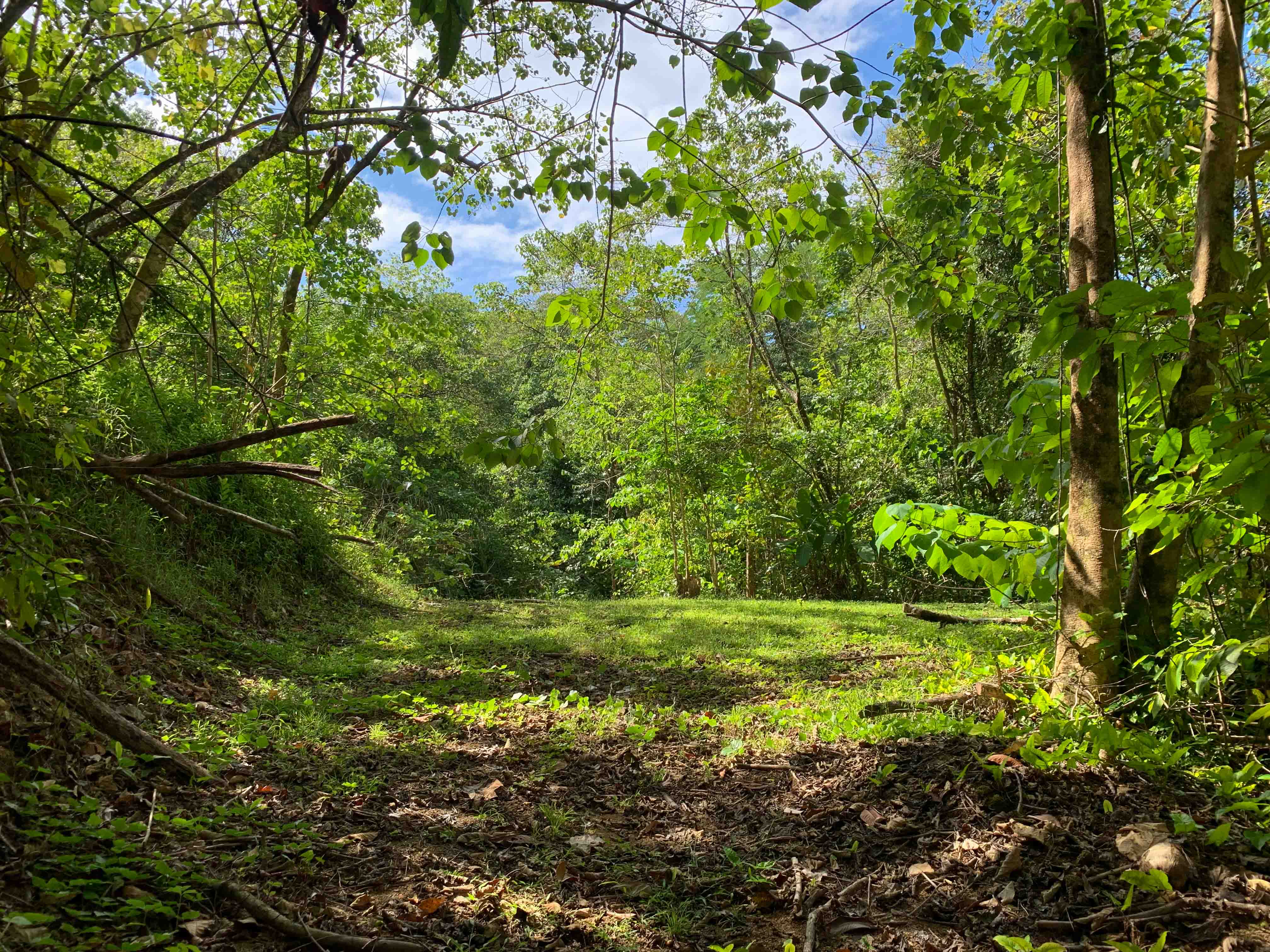 0 bed Land For Sale in Uvita, Puntarenas - thumb 6