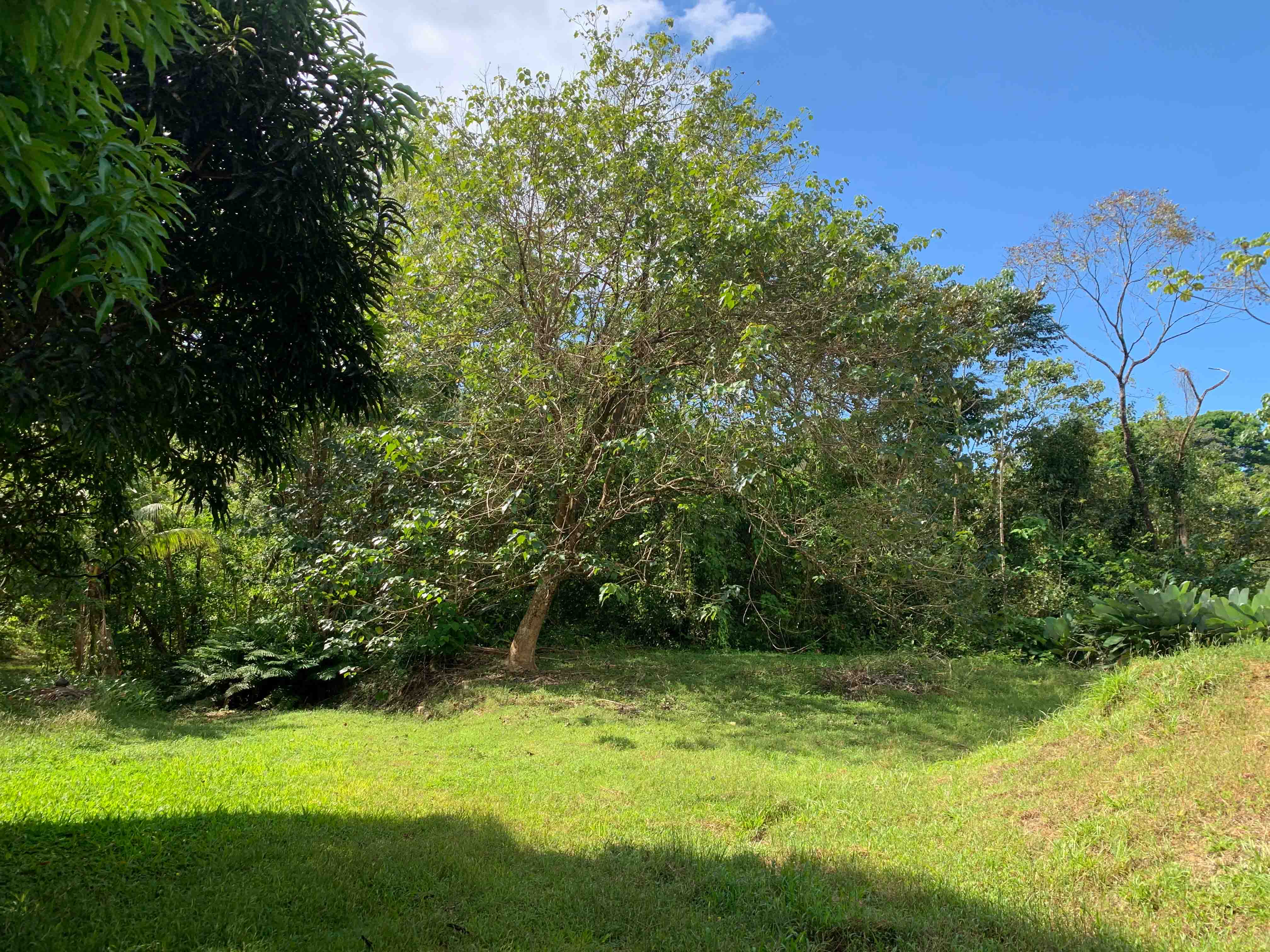 0 bed Land For Sale in Uvita, Puntarenas - thumb 5