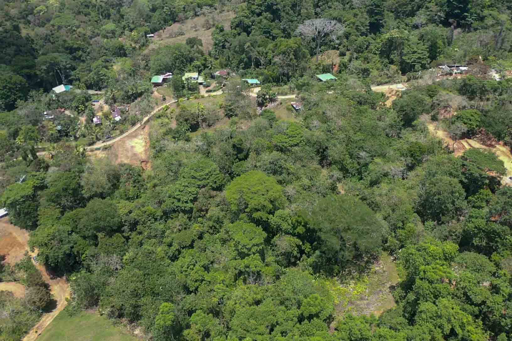 0 bed Land For Sale in Uvita, Puntarenas - thumb 1