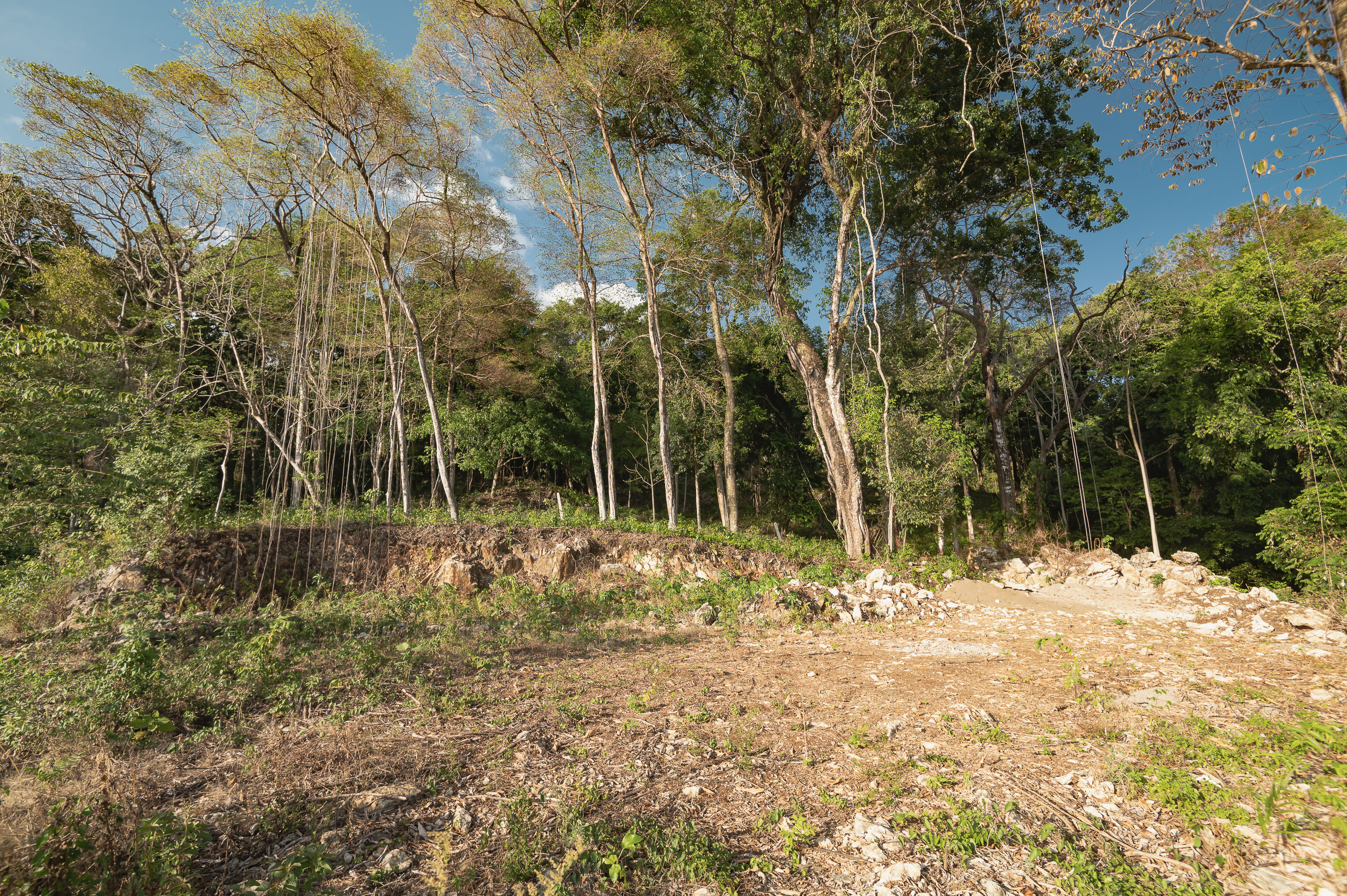 0 bed Land For Sale in Santa Teresa, Puntarenas - thumb 14