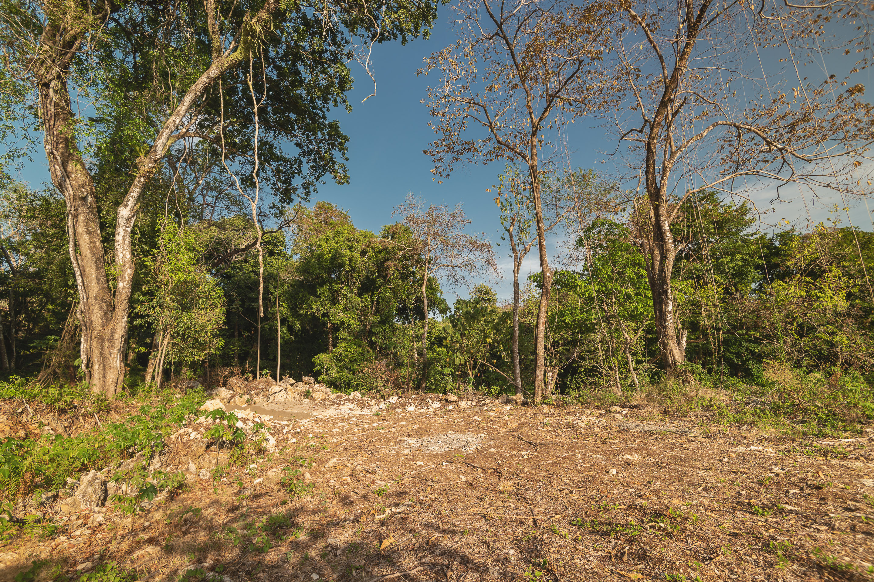 0 bed Land For Sale in Santa Teresa, Puntarenas - thumb 4