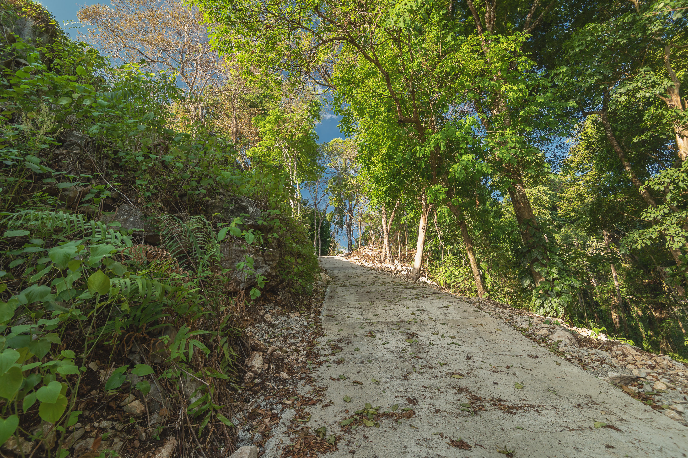 0 bed Land For Sale in Santa Teresa, Puntarenas - thumb 8