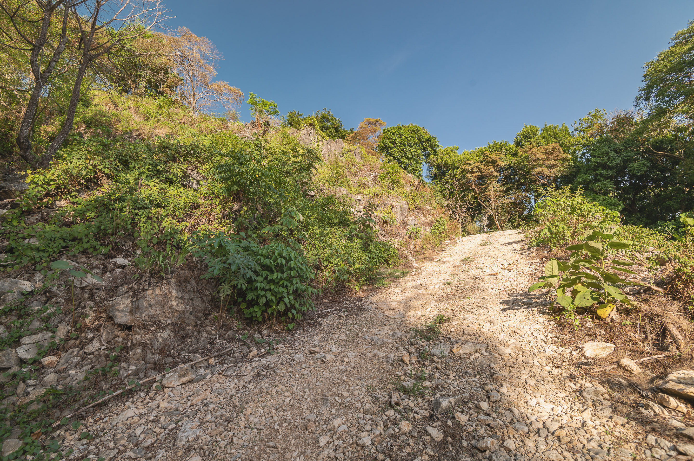 0 bed Land For Sale in Santa Teresa, Puntarenas - thumb 6