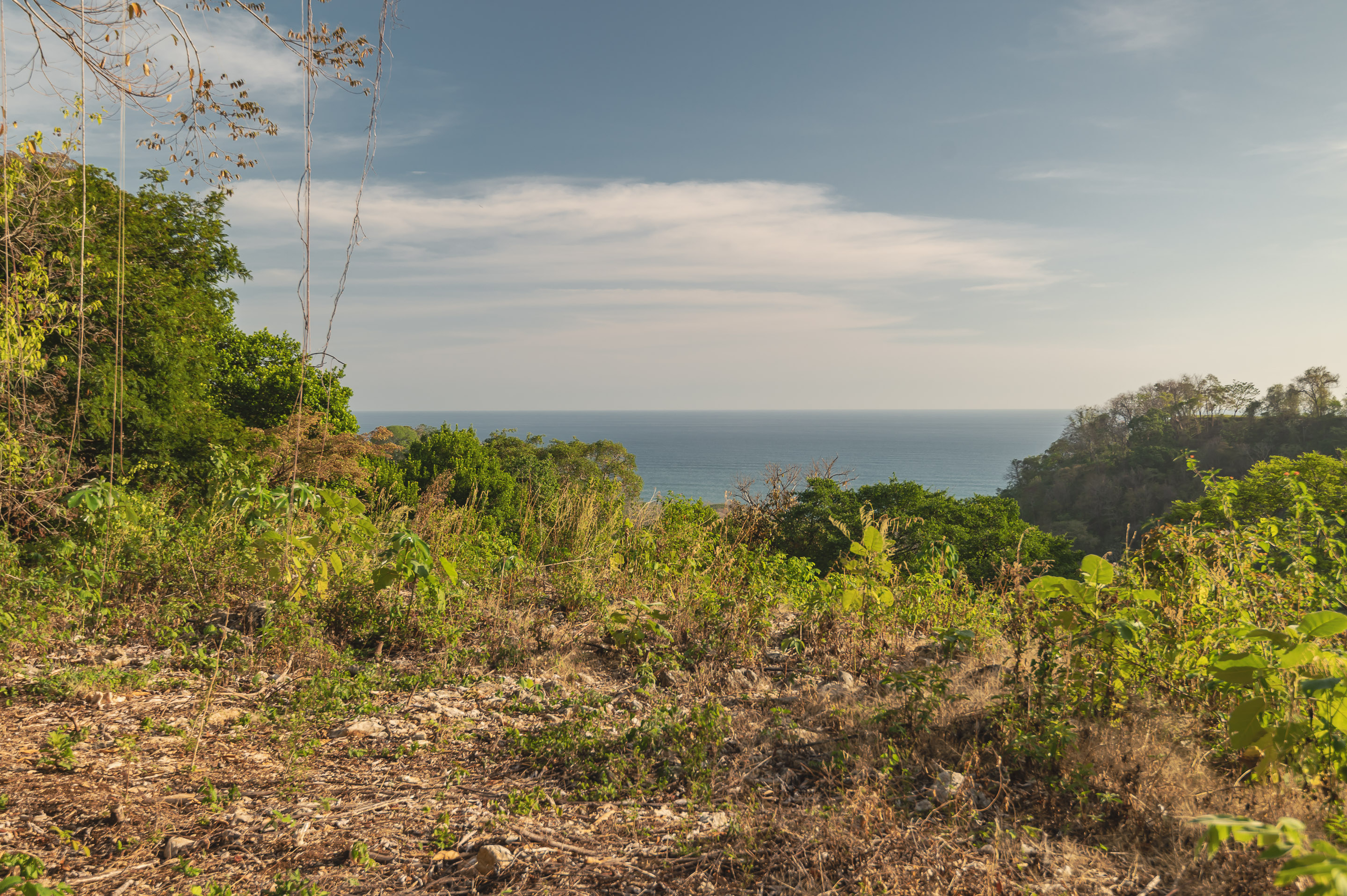 0 bed Land For Sale in Santa Teresa, Puntarenas - thumb 1