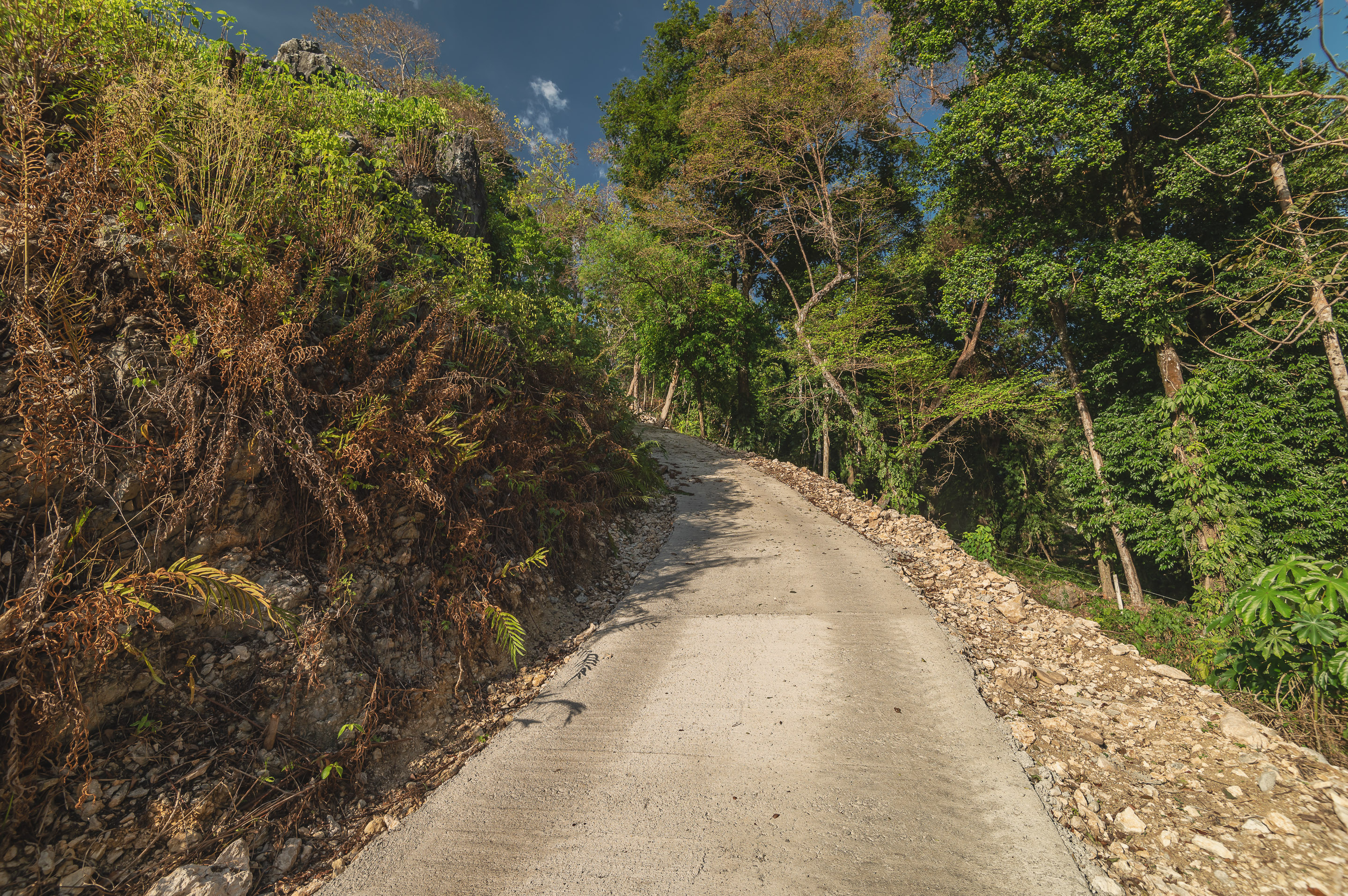 0 bed Land For Sale in Santa Teresa, Puntarenas - thumb 7