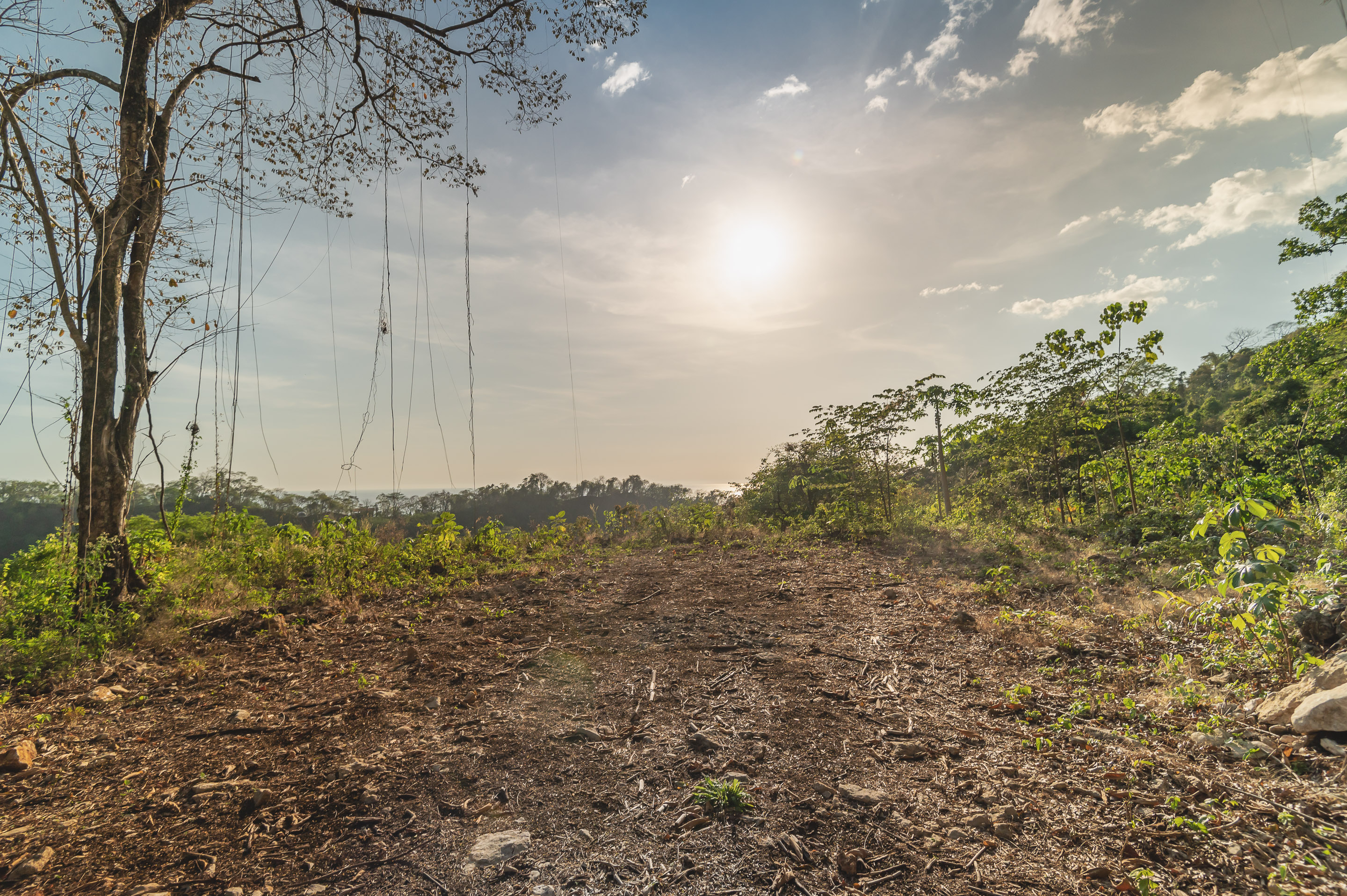 0 bed Land For Sale in Santa Teresa, Puntarenas - thumb 11