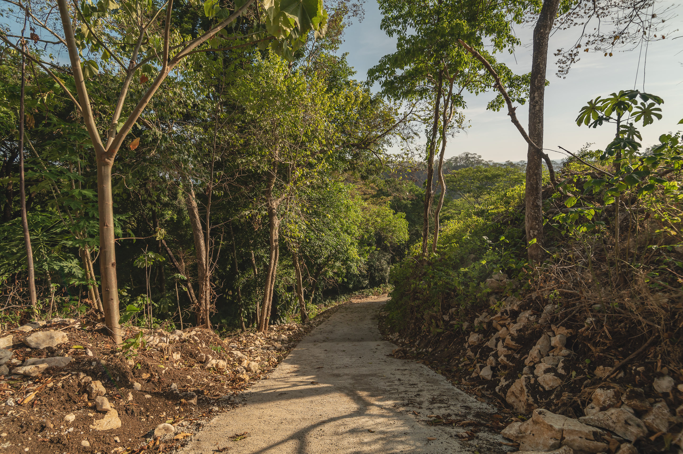 0 bed Land For Sale in Santa Teresa, Puntarenas - thumb 10