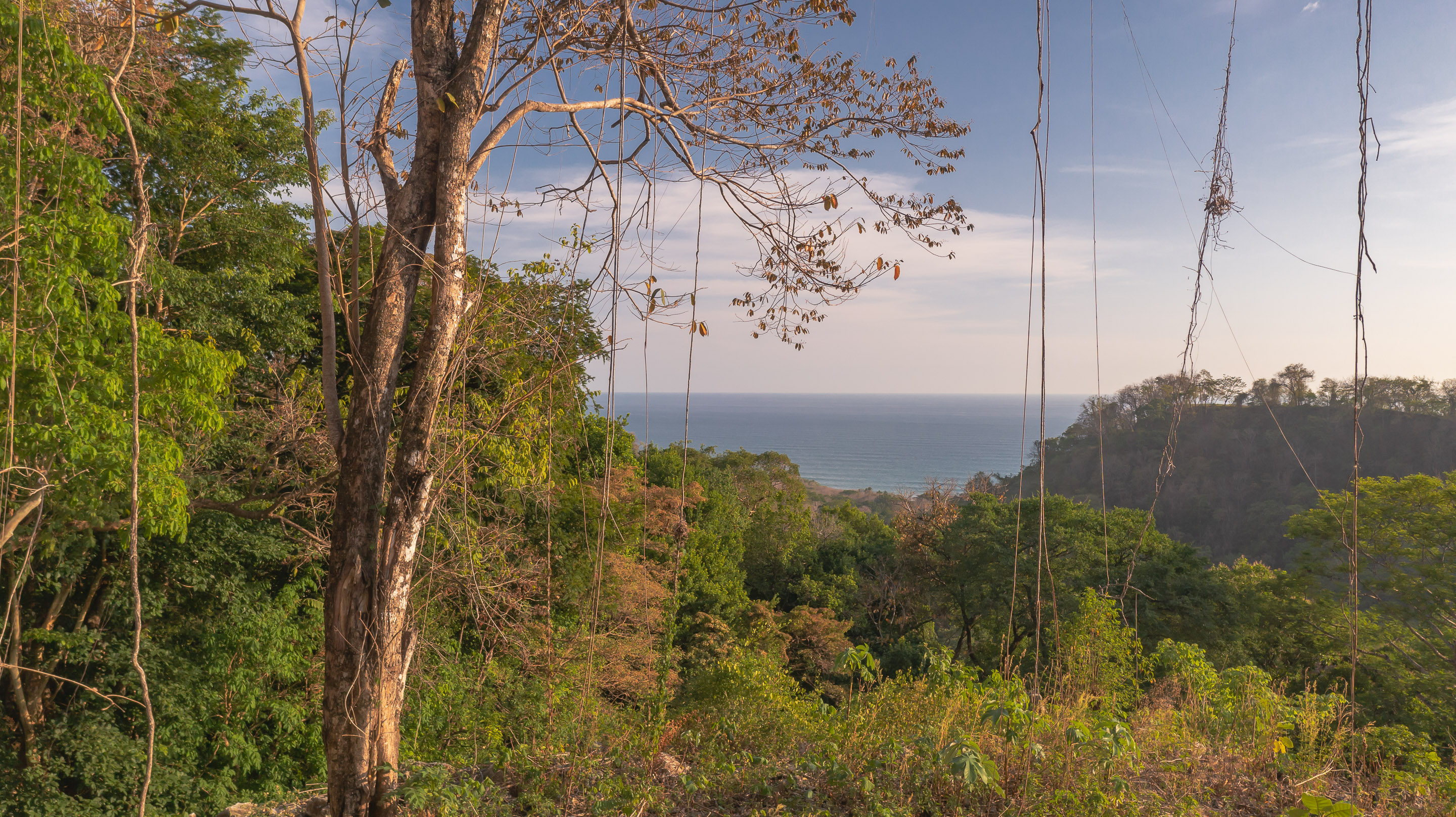 0 bed Land For Sale in Santa Teresa, Puntarenas - thumb 20