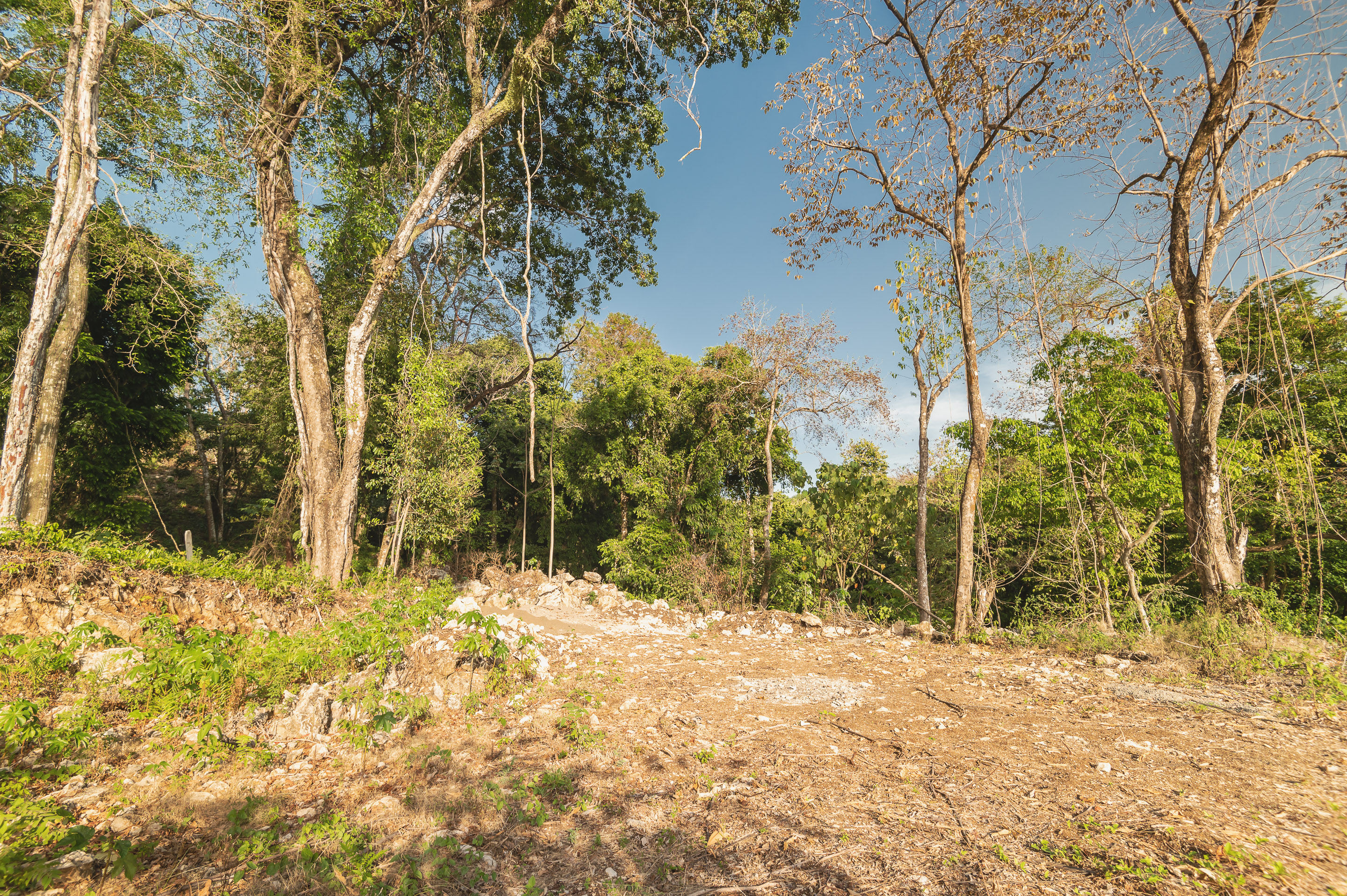 0 bed Land For Sale in Santa Teresa, Puntarenas - thumb 5