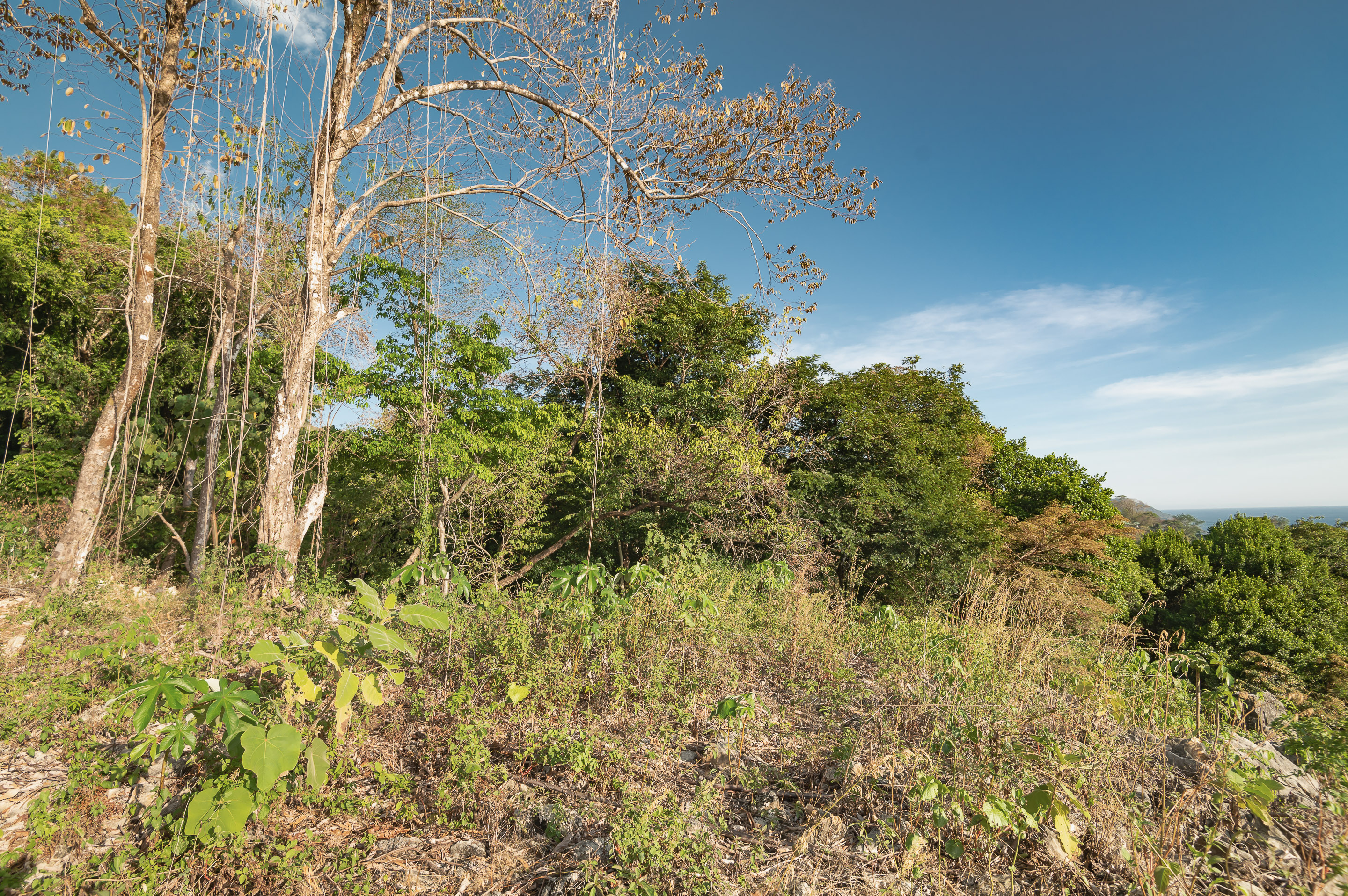 0 bed Land For Sale in Santa Teresa, Puntarenas - thumb 15