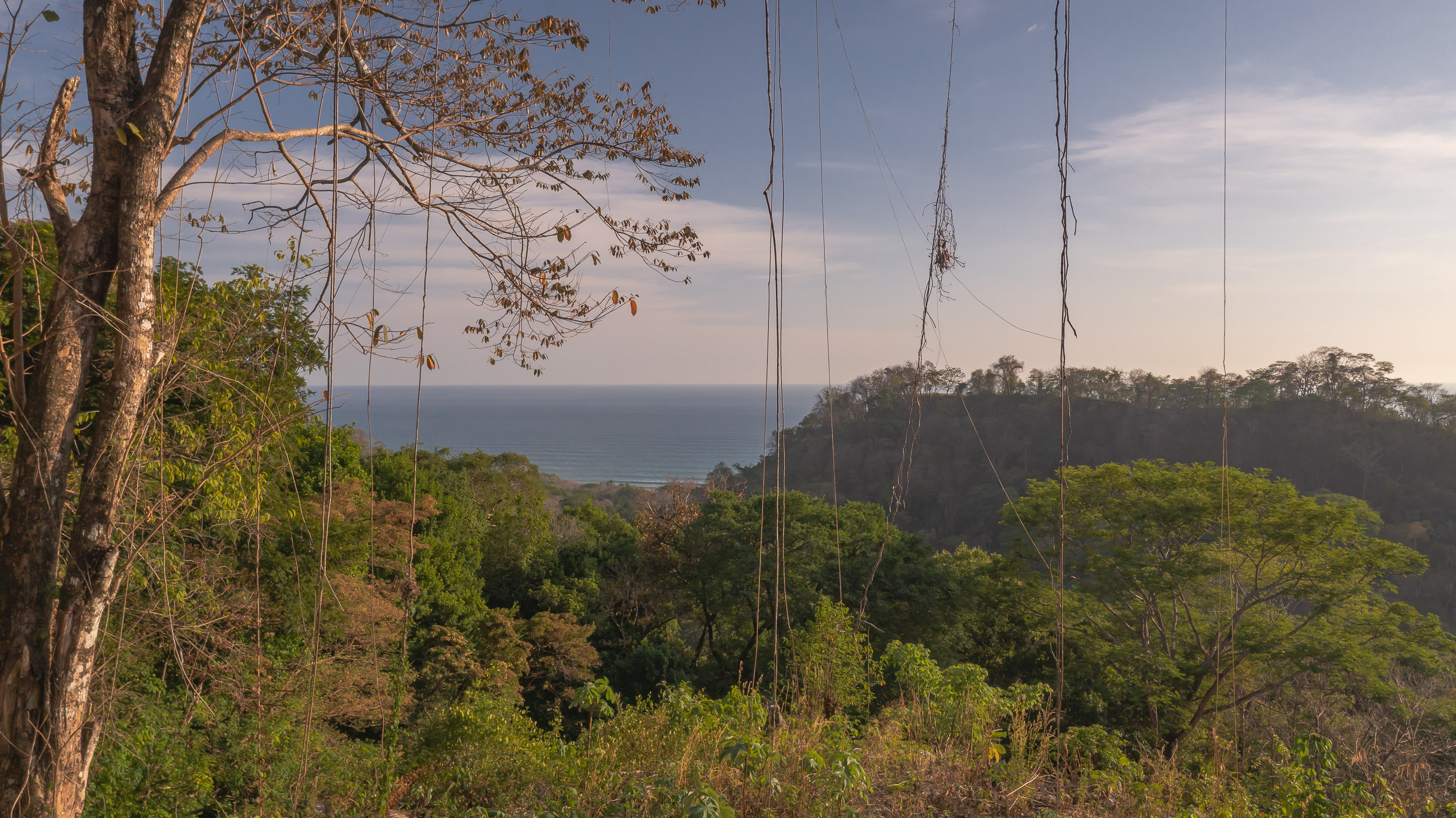 0 bed Land For Sale in Santa Teresa, Puntarenas - thumb 21
