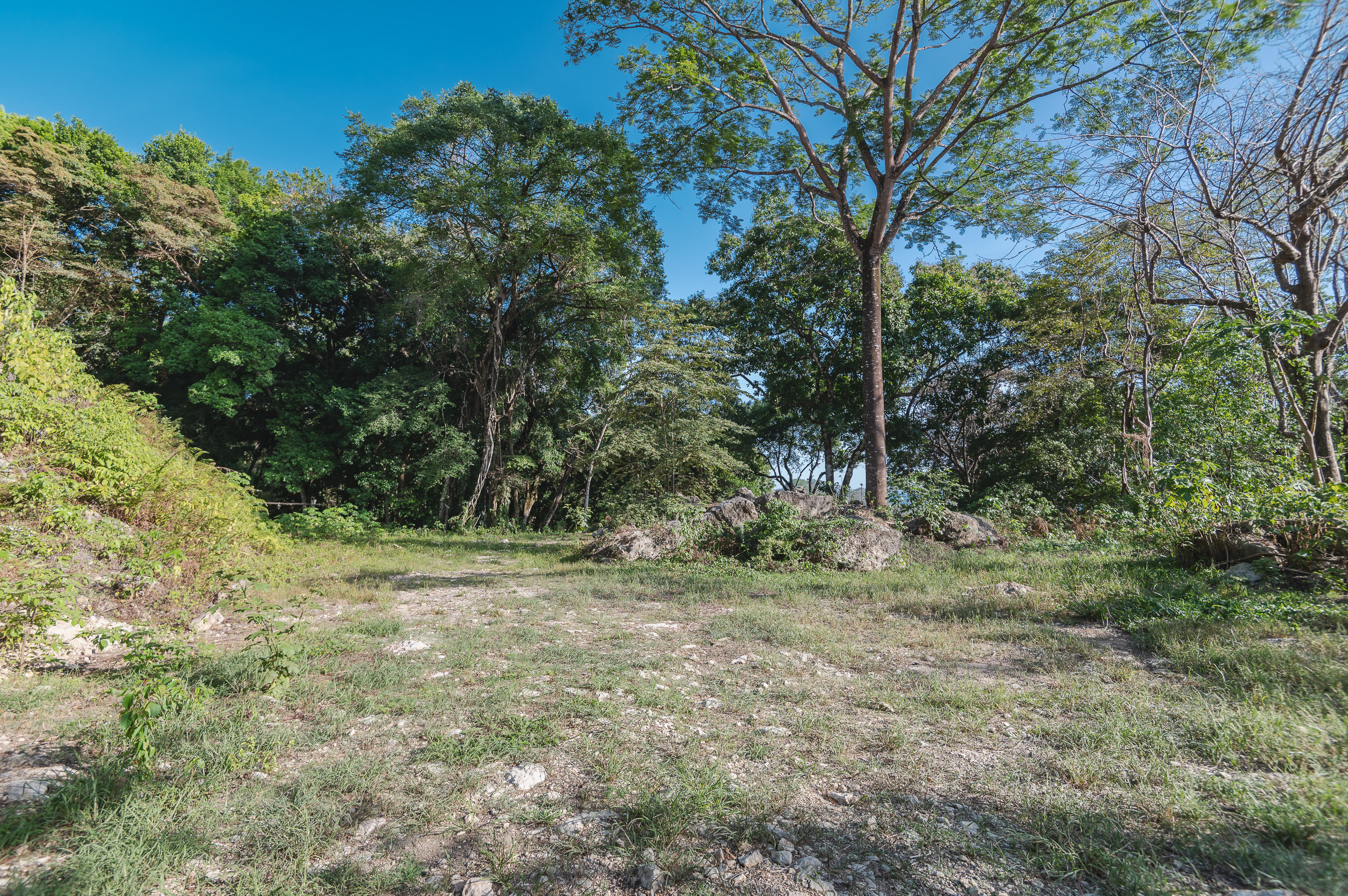 0 bed Land For Sale in Santa Teresa, Puntarenas - thumb 6