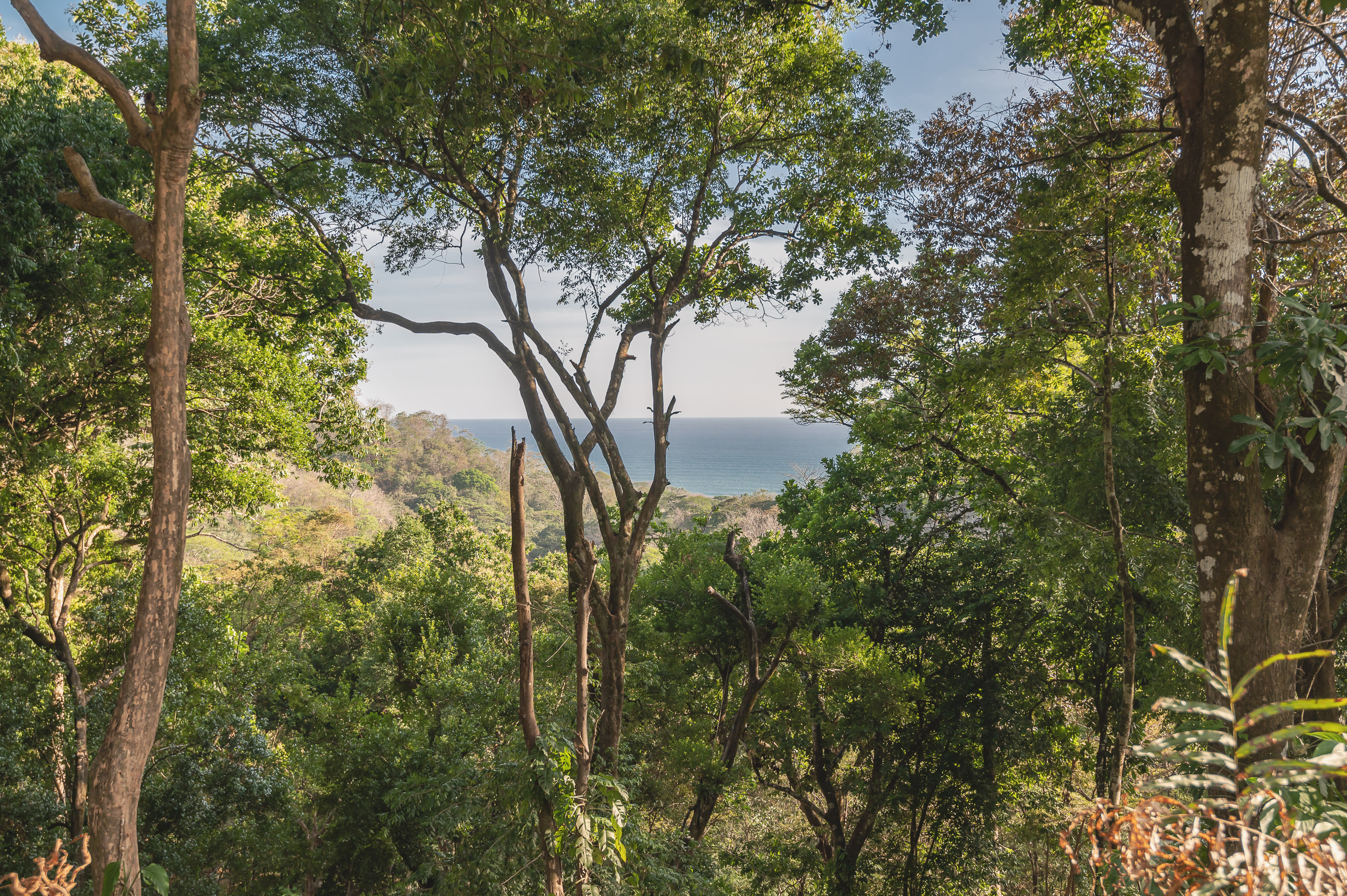 0 bed Land For Sale in Santa Teresa, Puntarenas - thumb 3