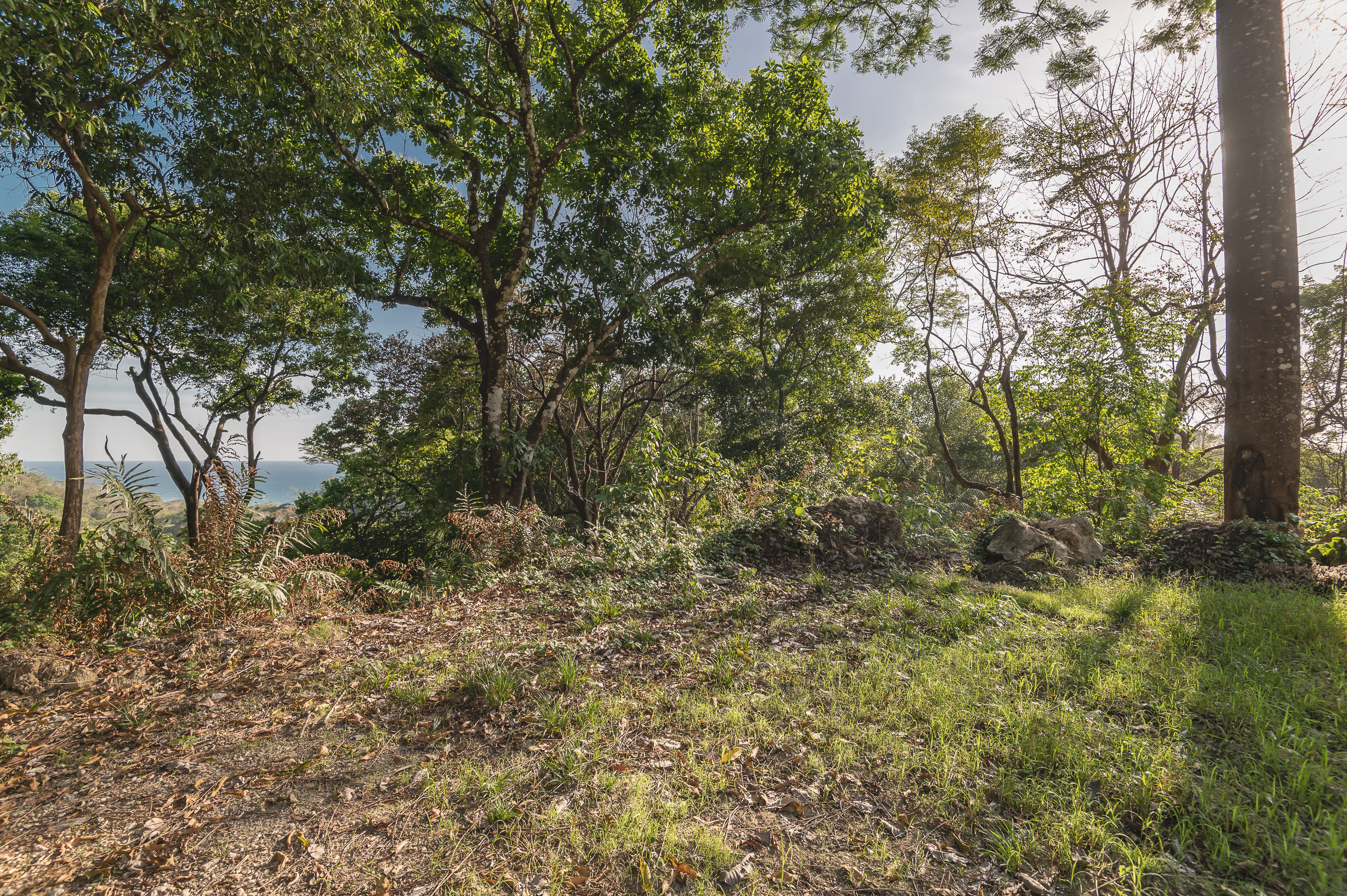 0 bed Land For Sale in Santa Teresa, Puntarenas - thumb 12