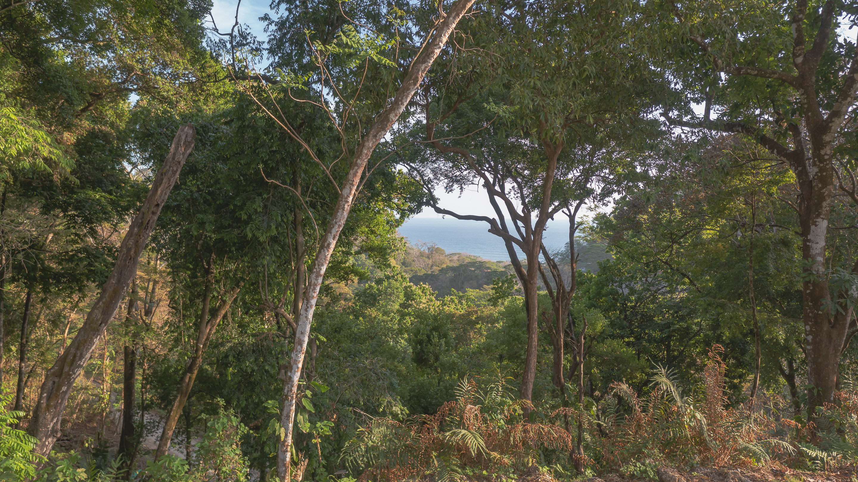 0 bed Land For Sale in Santa Teresa, Puntarenas - thumb 15