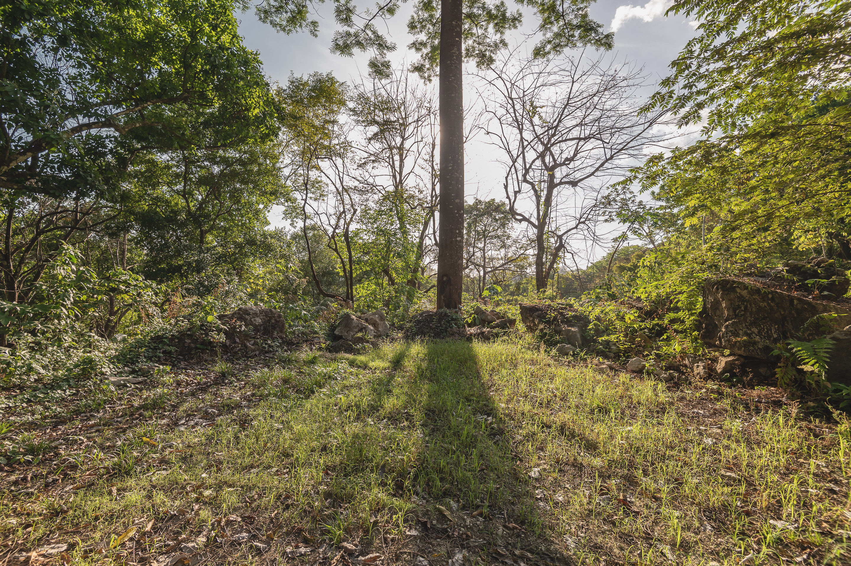 0 bed Land For Sale in Santa Teresa, Puntarenas - thumb 5