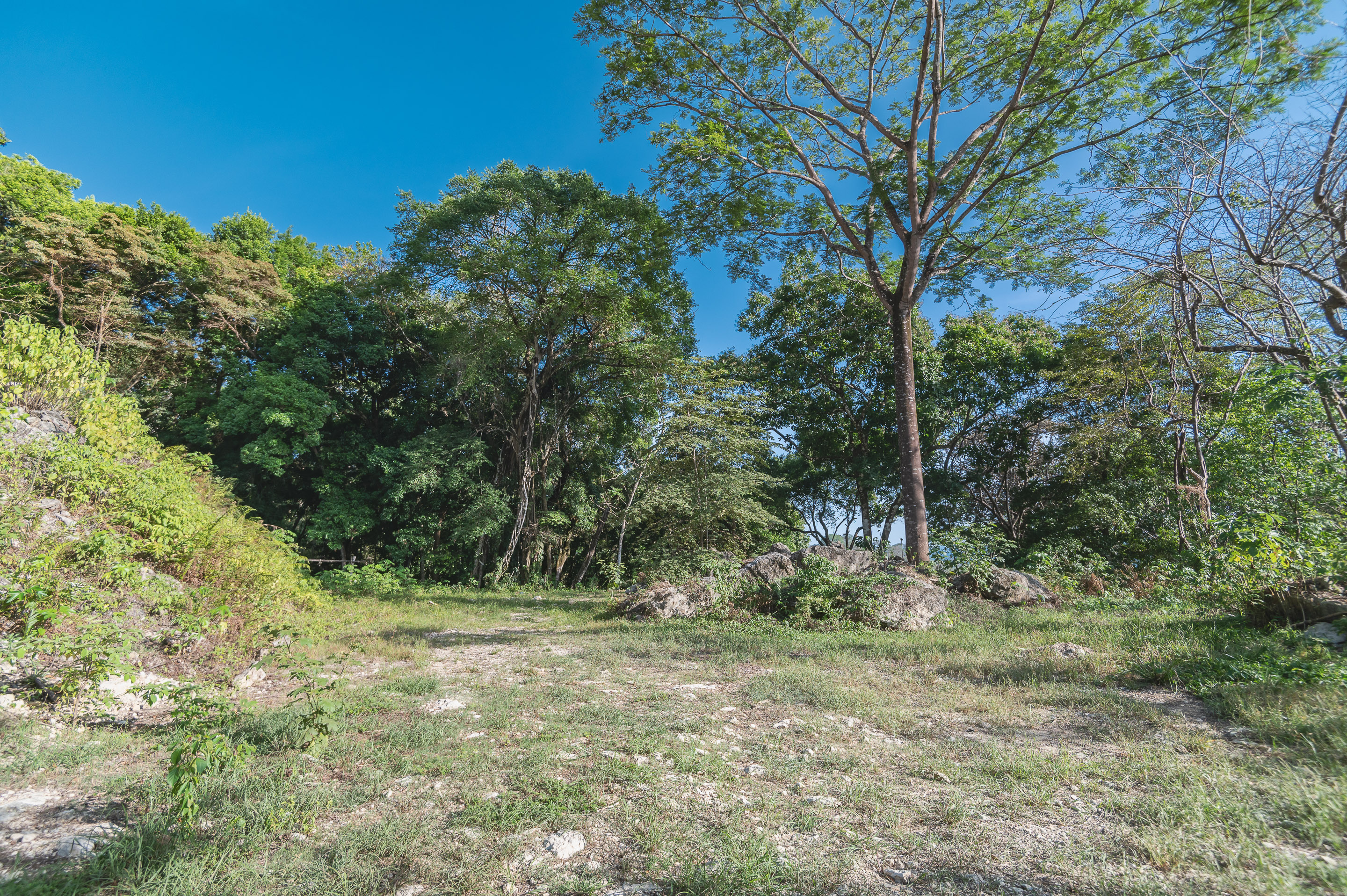 0 bed Land For Sale in Santa Teresa, Puntarenas - thumb 9