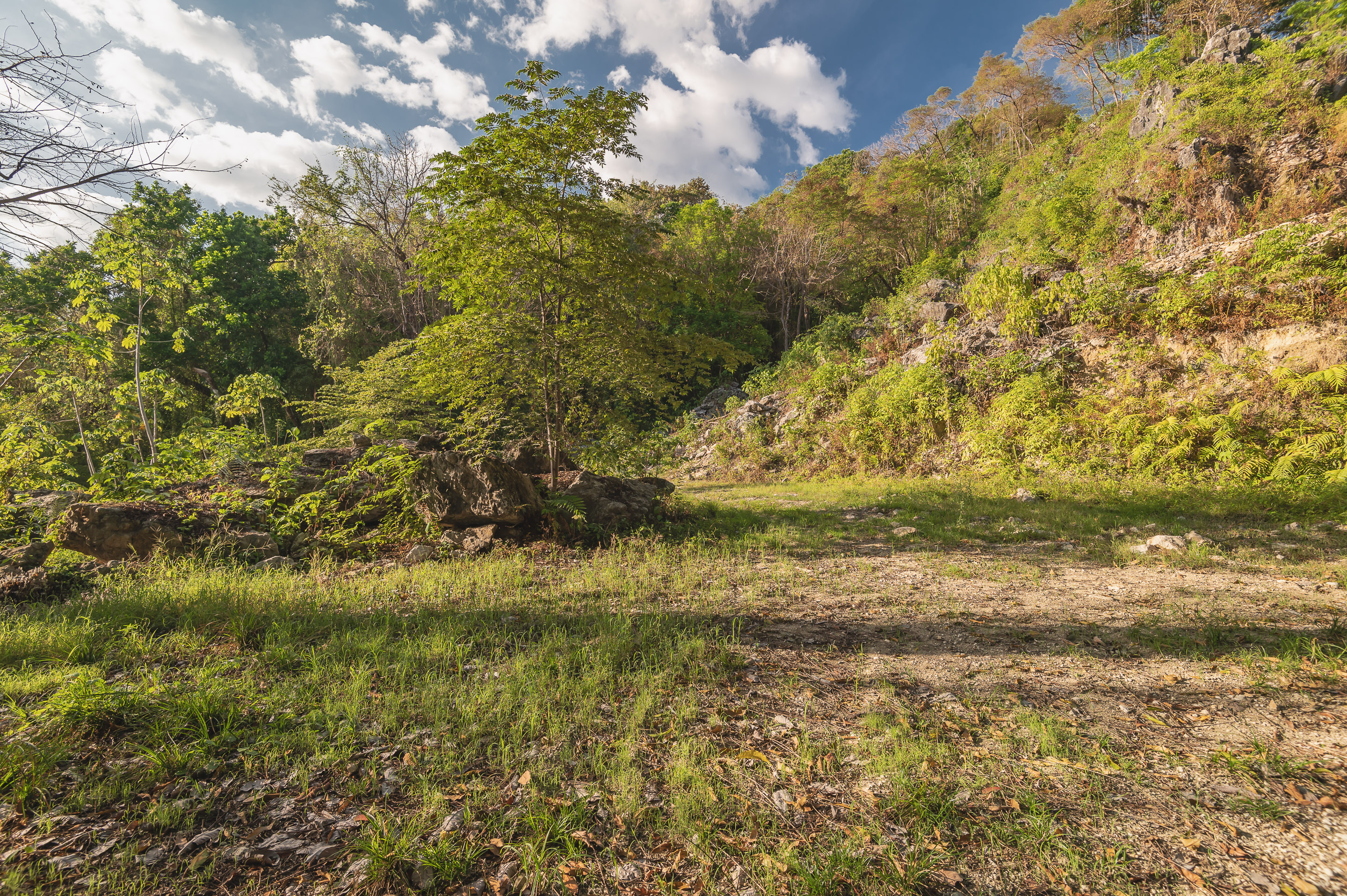 0 bed Land For Sale in Santa Teresa, Puntarenas - thumb 11