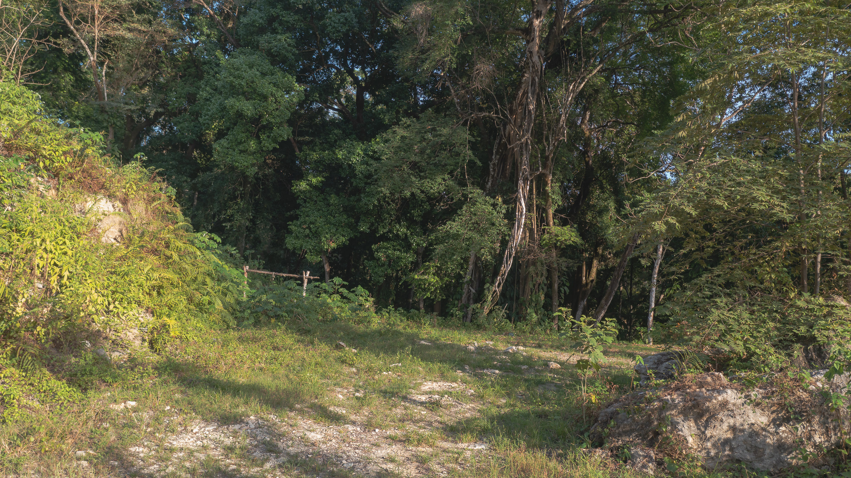 0 bed Land For Sale in Santa Teresa, Puntarenas - thumb 14