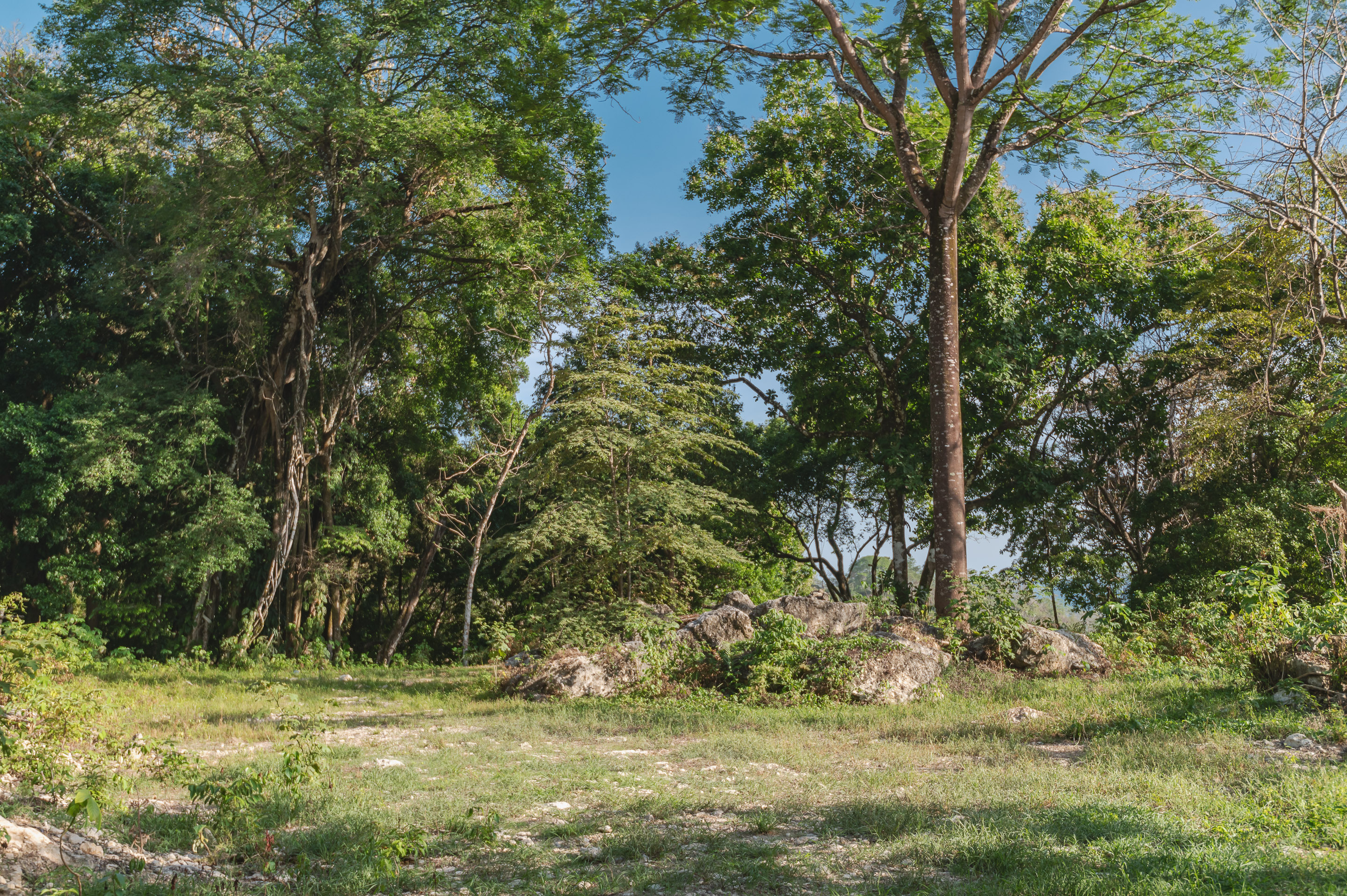 0 bed Land For Sale in Santa Teresa, Puntarenas - thumb 2