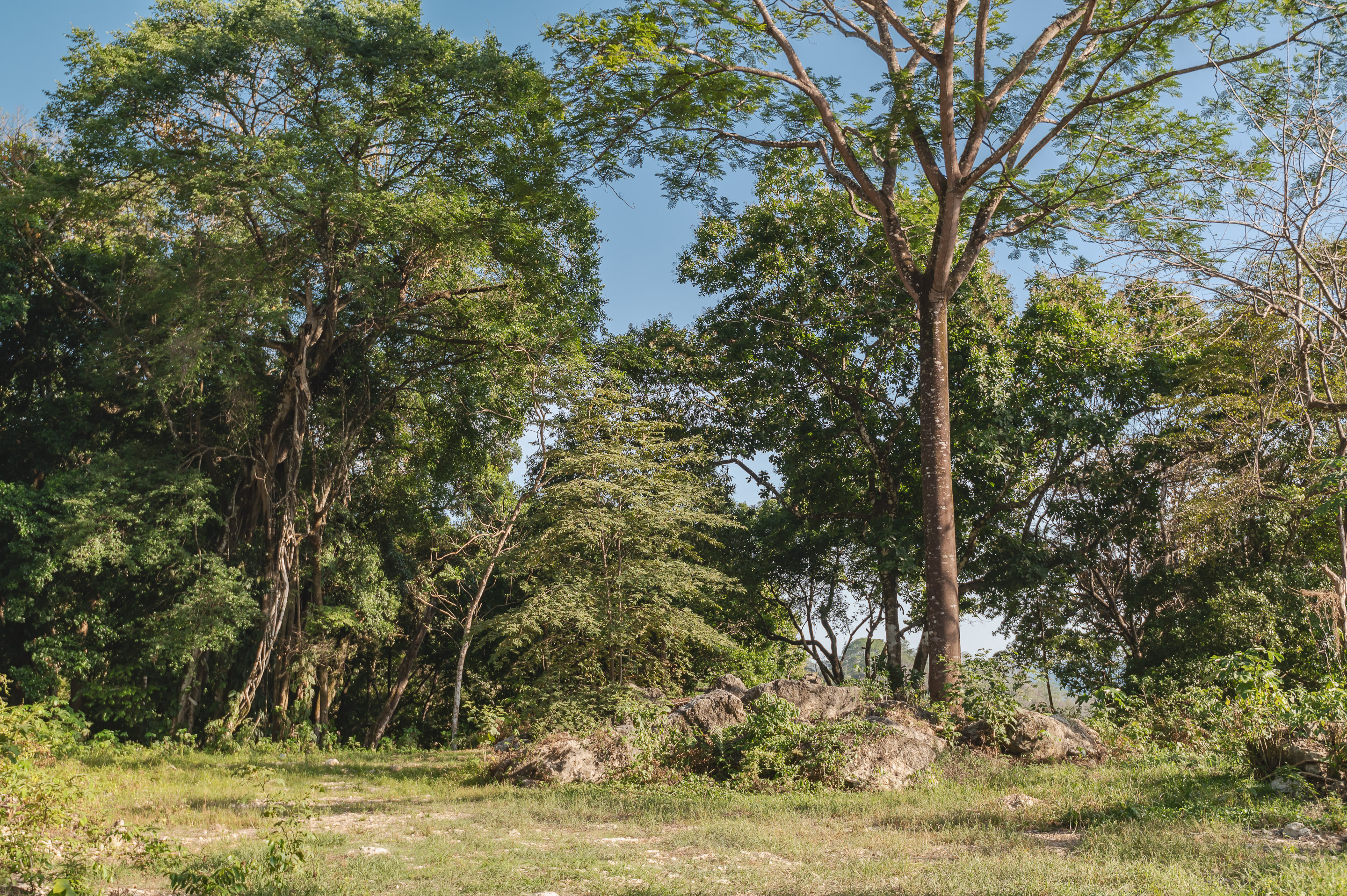 0 bed Land For Sale in Santa Teresa, Puntarenas - thumb 4