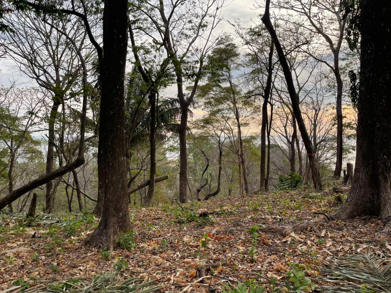 0 bed Land For Sale in Santa Teresa, Puntarenas - thumb 5