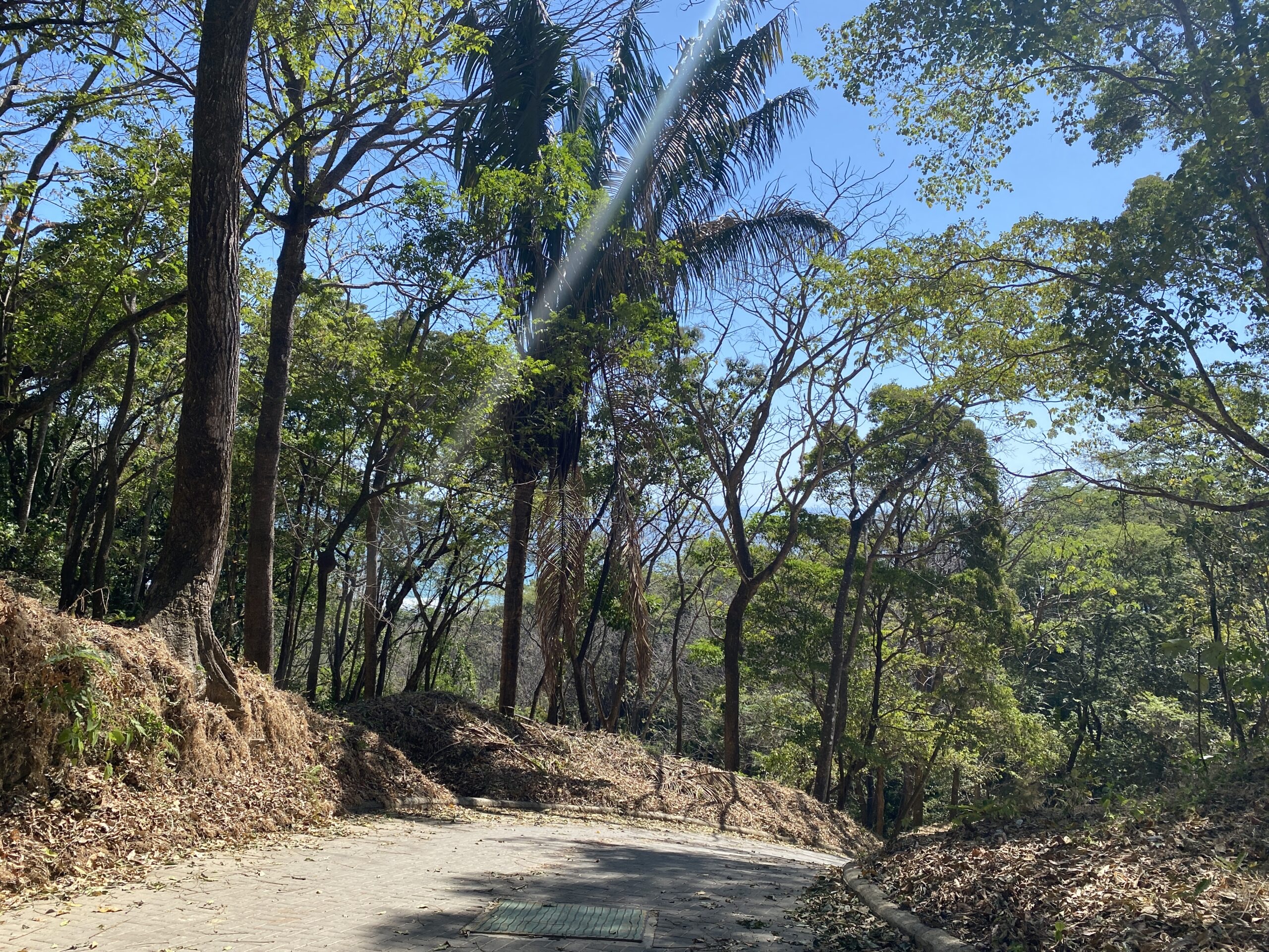 0 bed Land For Sale in Santa Teresa, Puntarenas - thumb 2