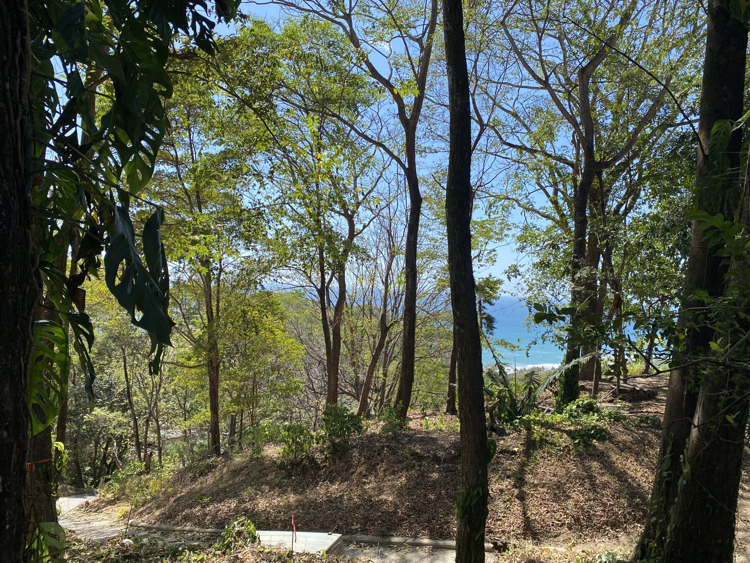 0 bed Land For Sale in Santa Teresa, Puntarenas - thumb 1