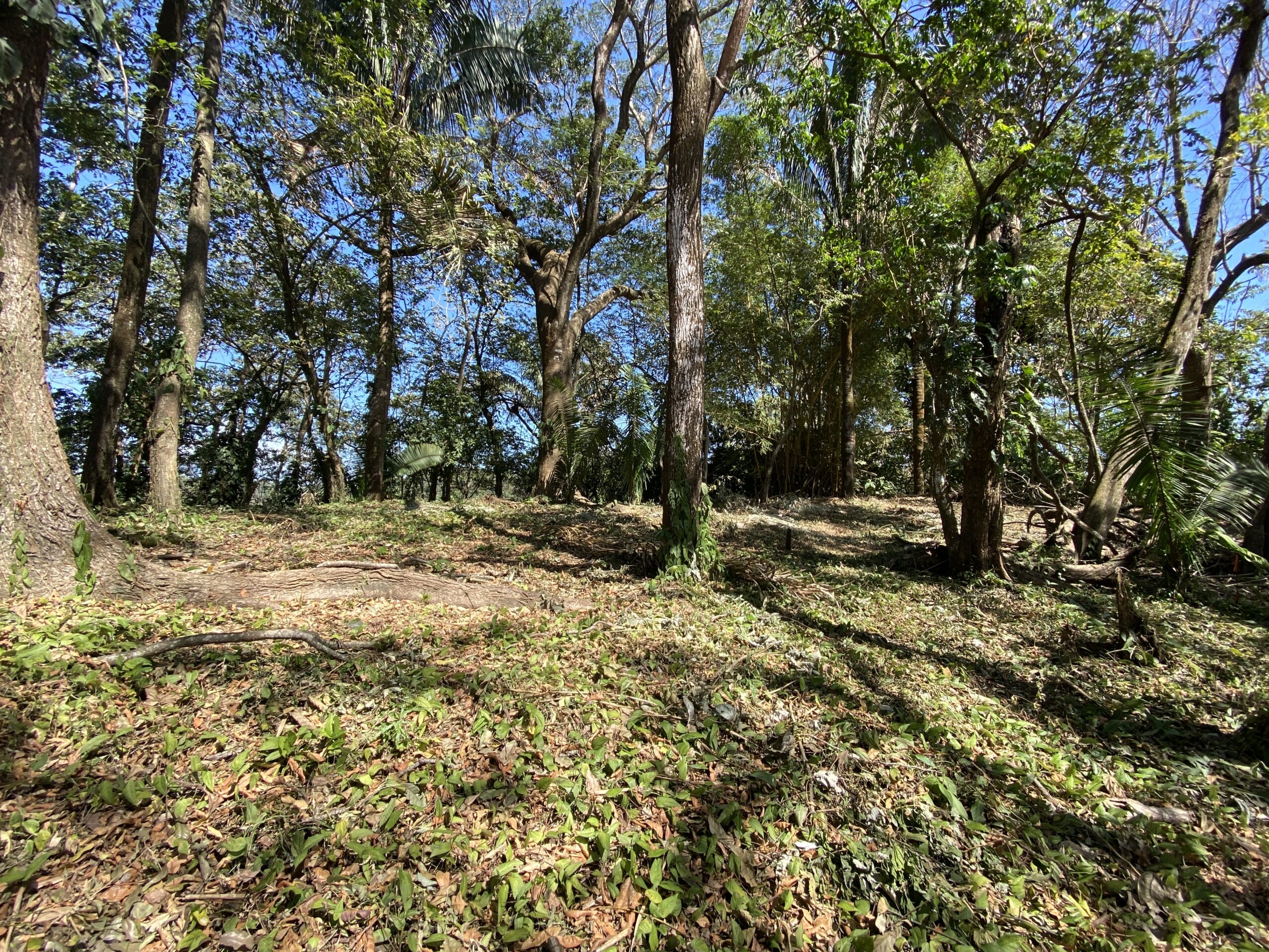 0 bed Land For Sale in Santa Teresa, Puntarenas - thumb 8