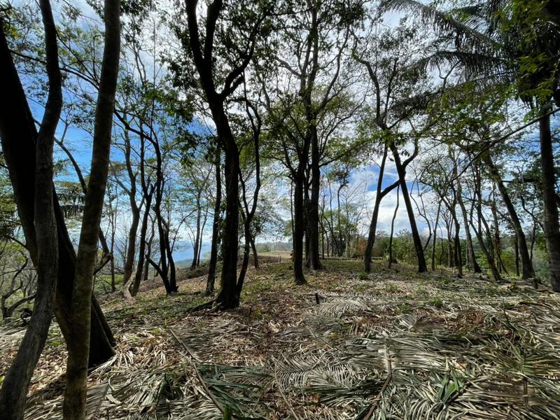 0 bed Land For Sale in Santa Teresa, Puntarenas - thumb 4