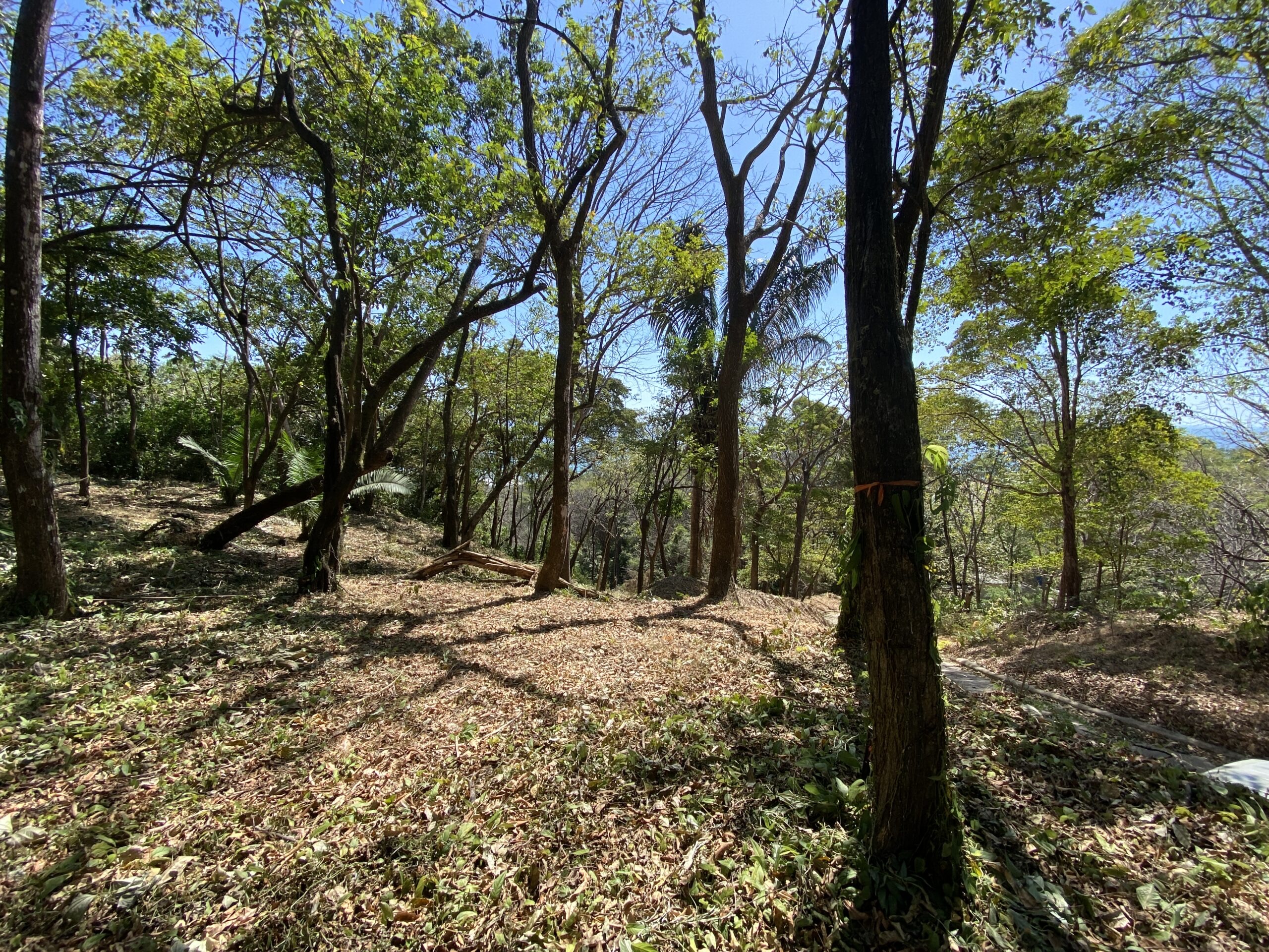 0 bed Land For Sale in Santa Teresa, Puntarenas - thumb 7